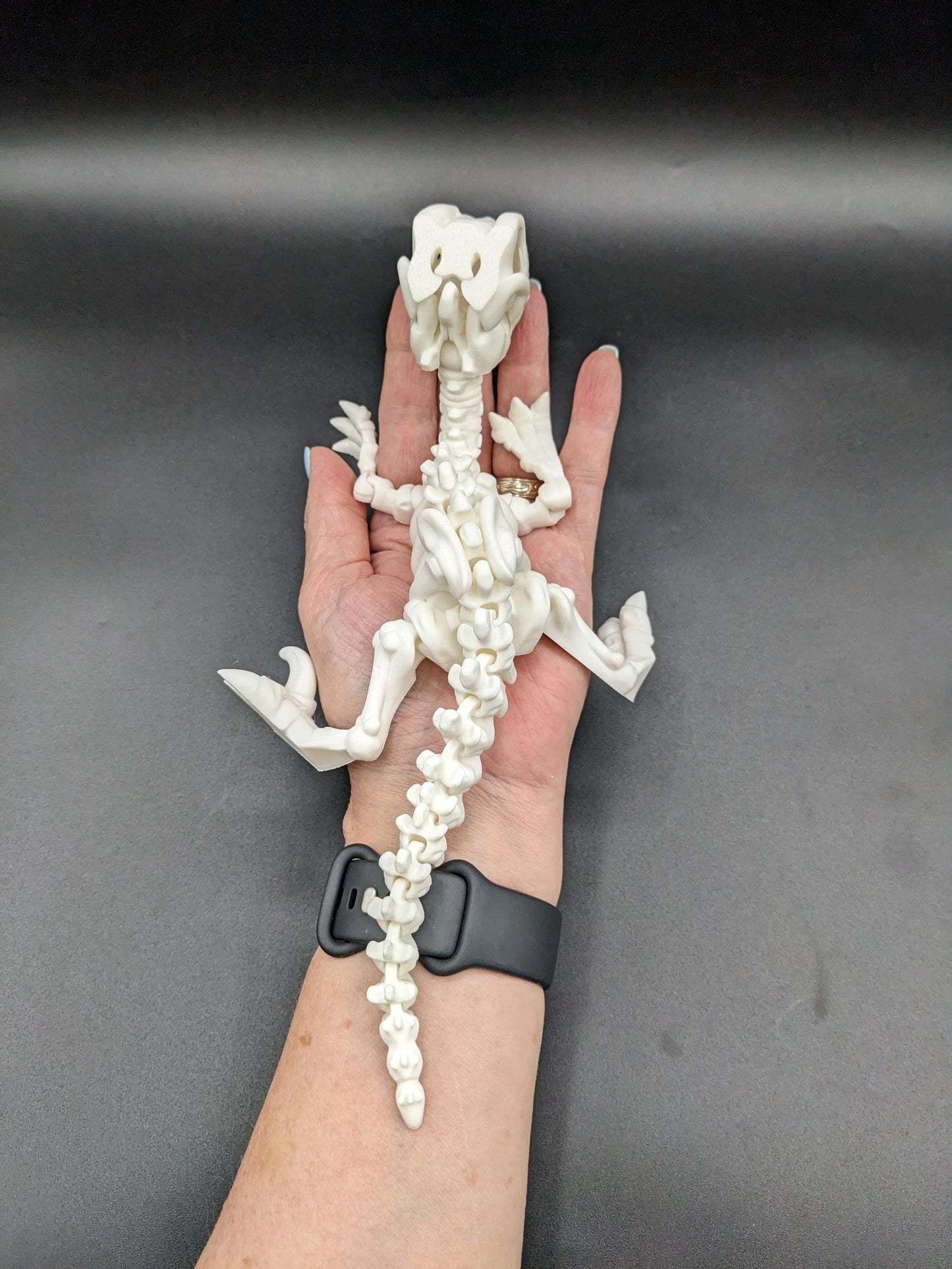 Awesome Articulated Raptor Skeleton Toy