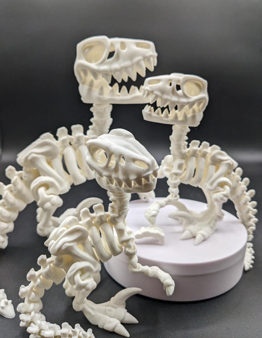Awesome Articulated Raptor Skeleton Toy