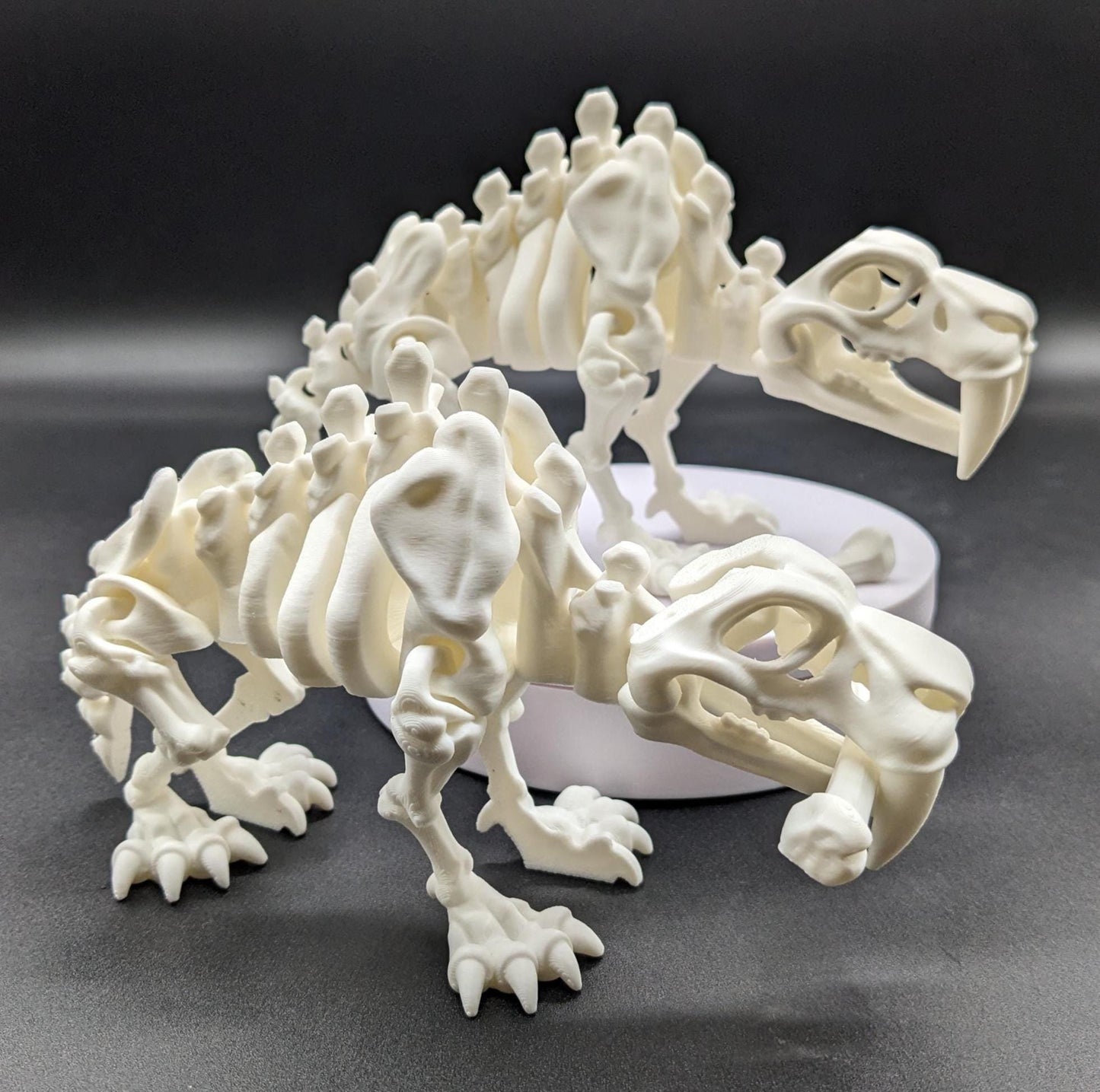 Articulated Saber Tooth Tiger Skeleton Toy