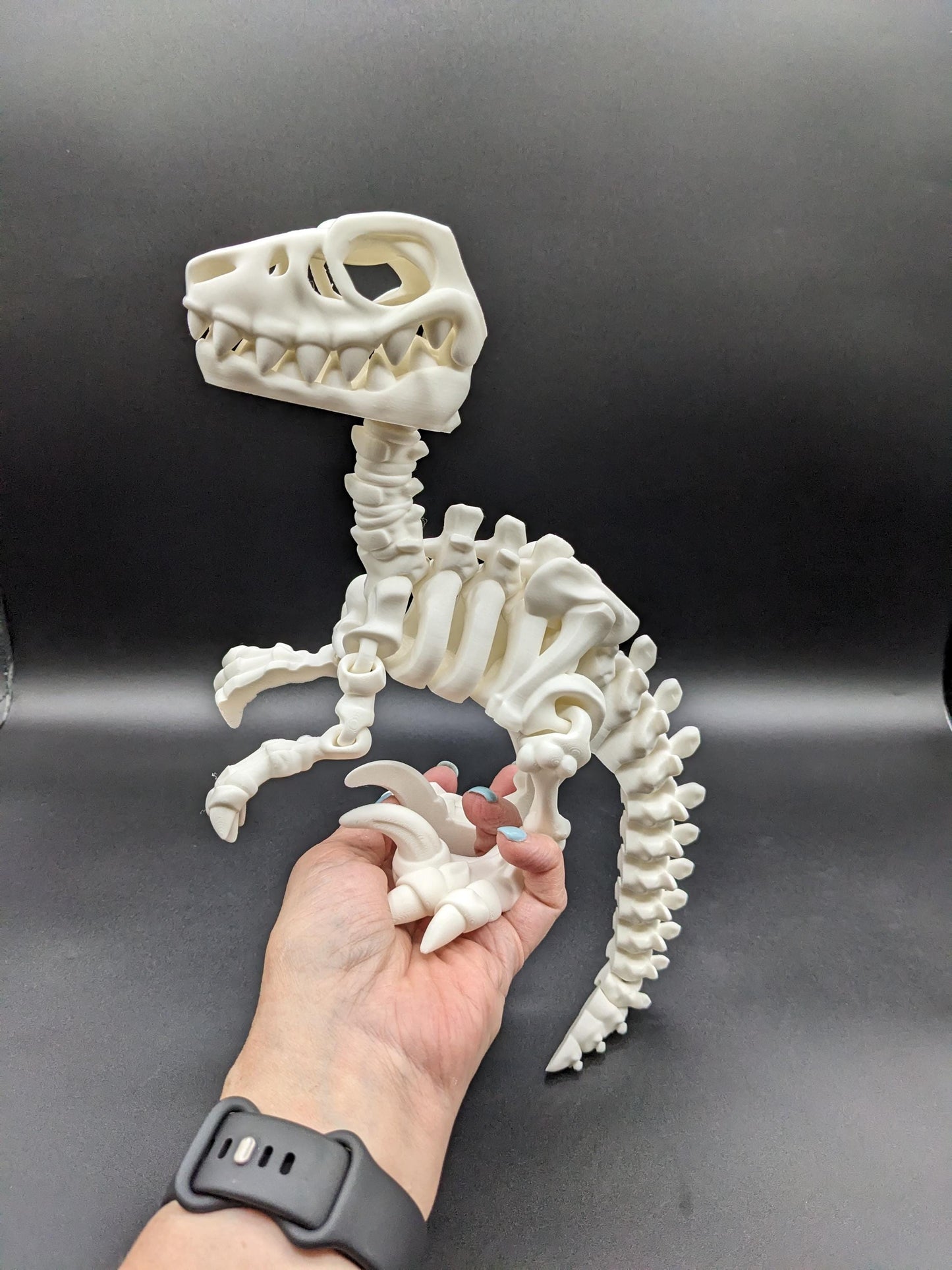 Awesome Articulated Raptor Skeleton Toy