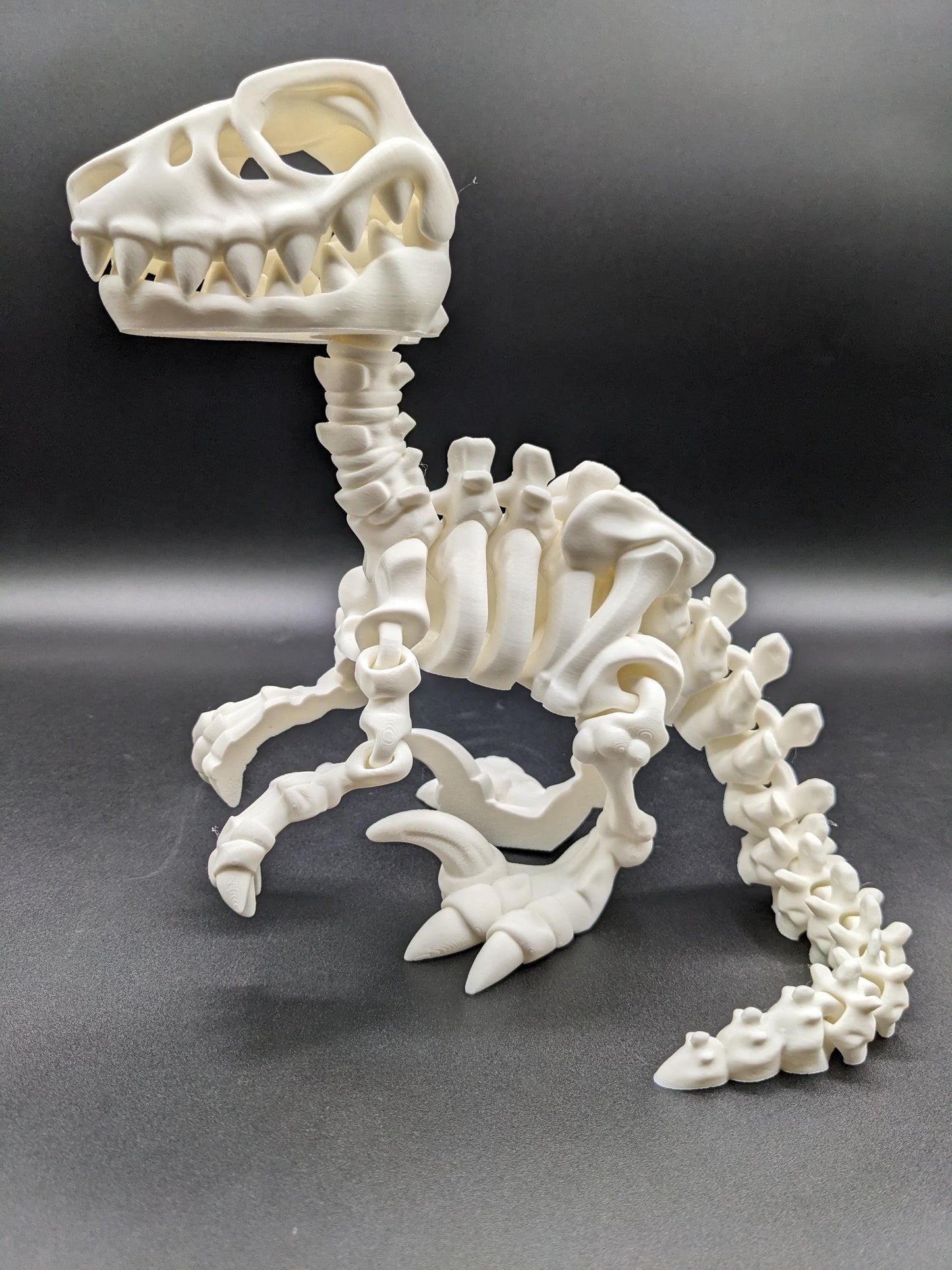 Awesome Articulated Raptor Skeleton Toy
