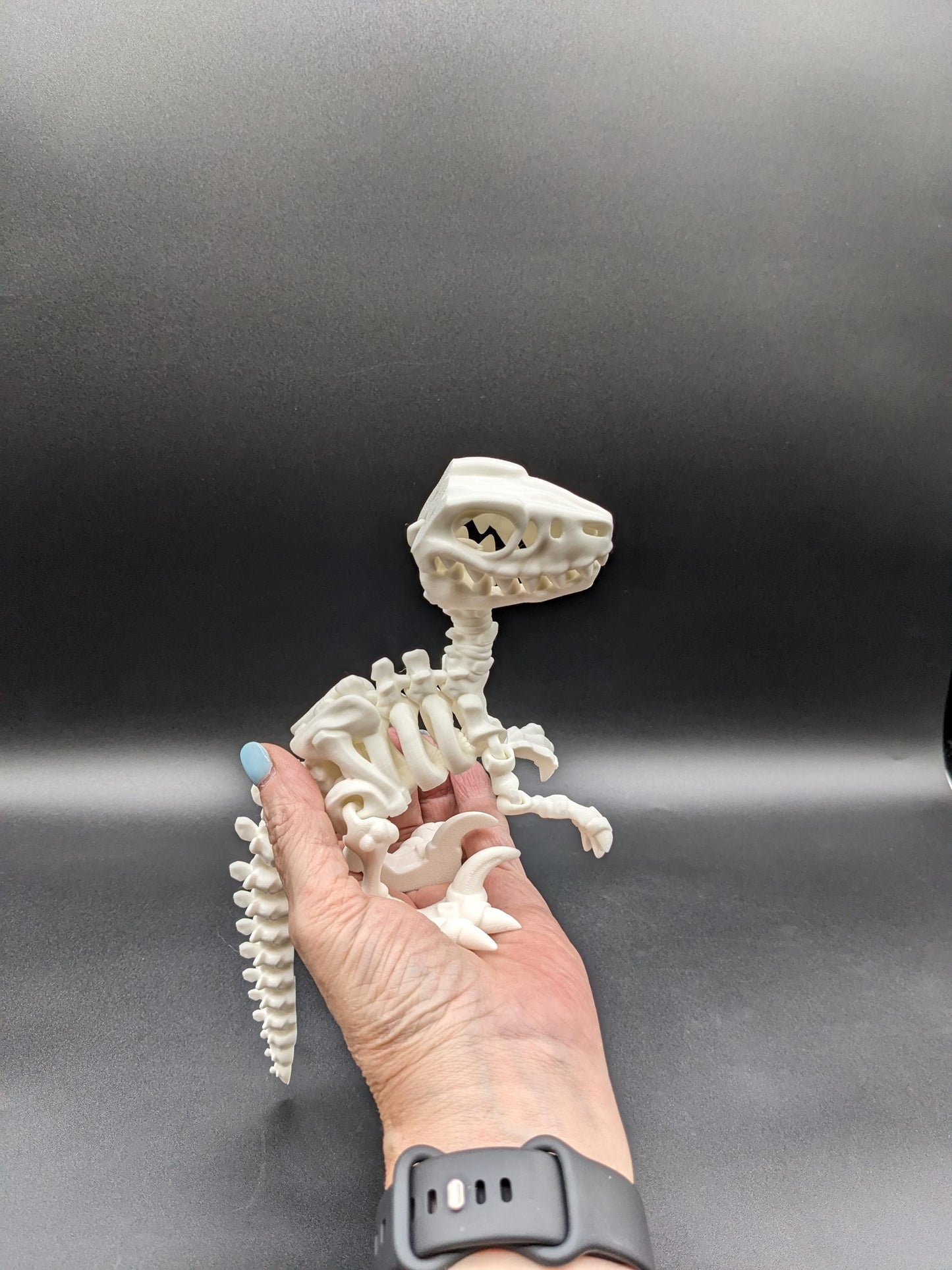 Awesome Articulated Raptor Skeleton Toy