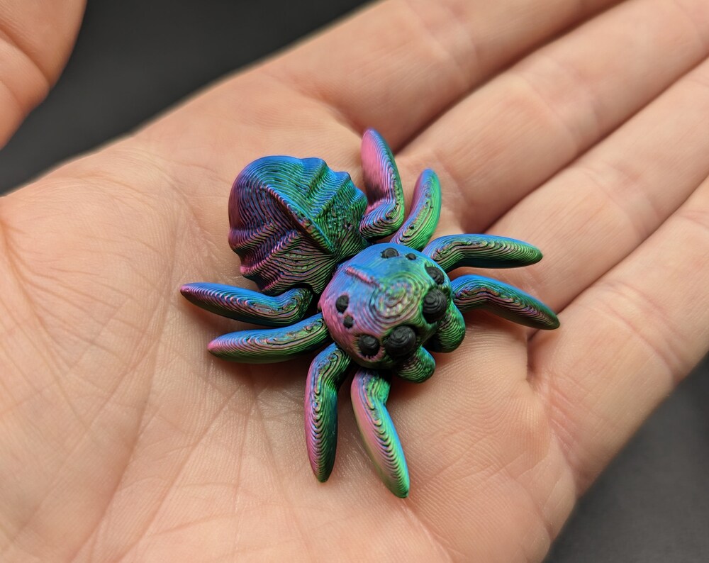 Spiders