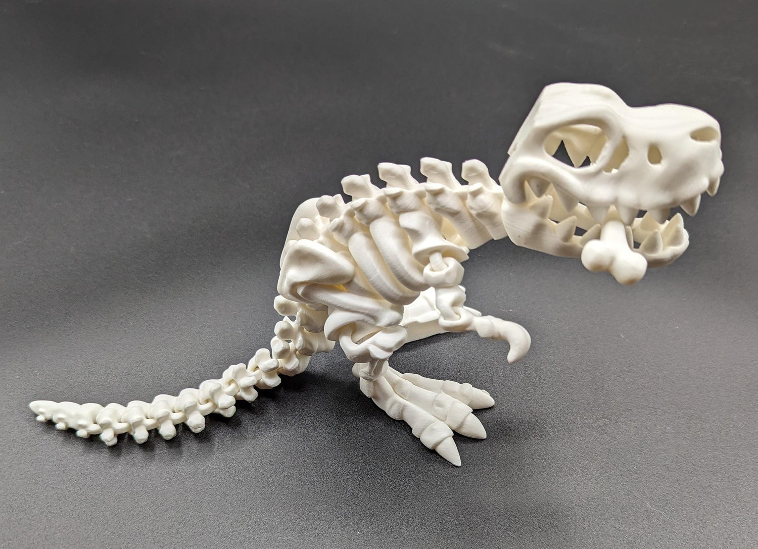 Dinosaur