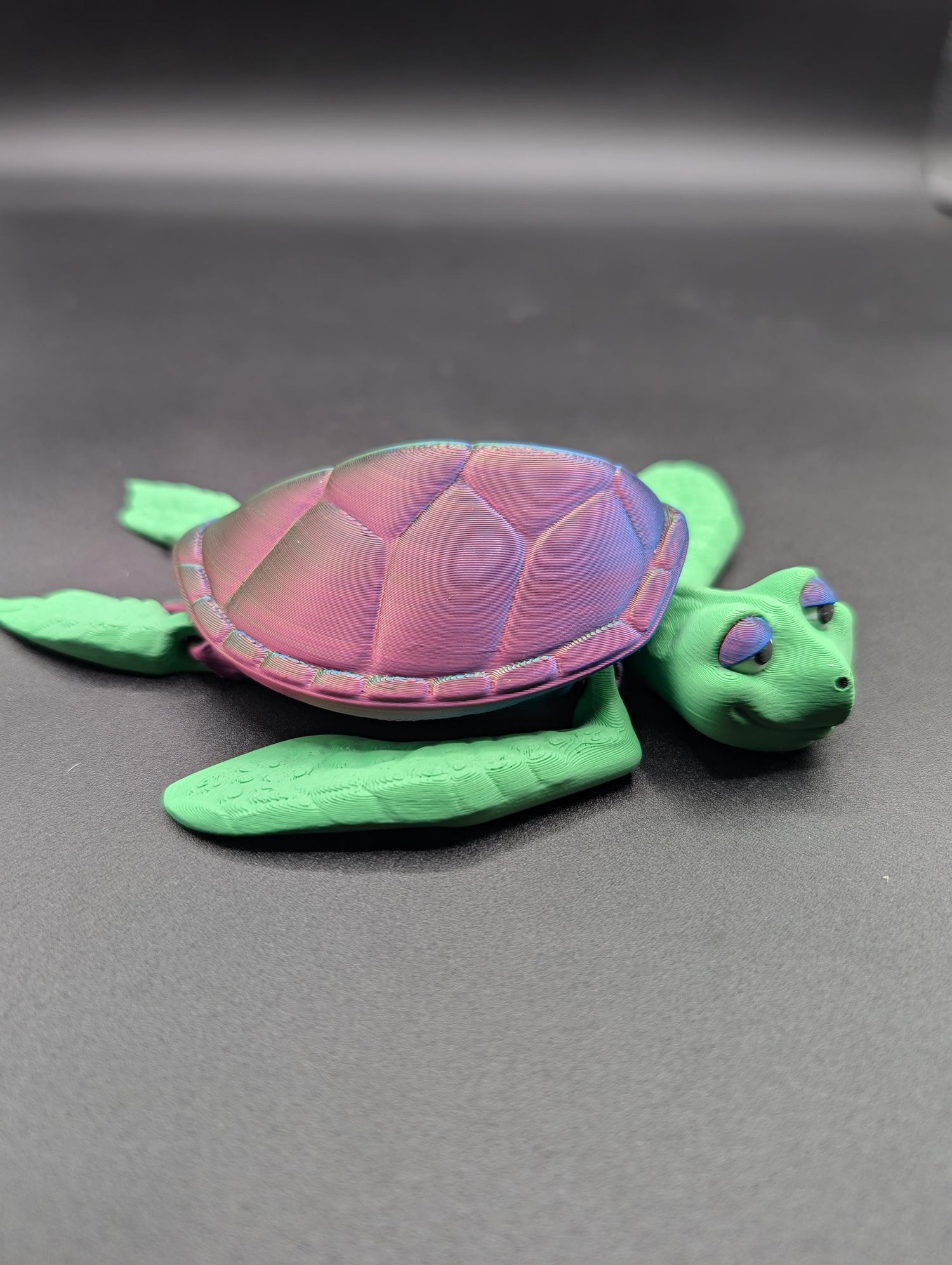 Turtles