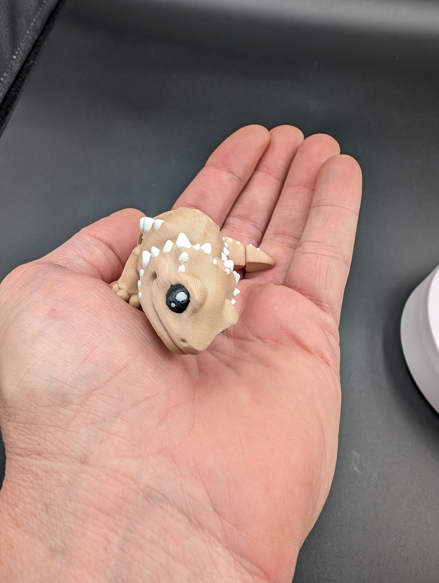 Baby Bearded Dragon Articulated Fidget toy Pet Lizard 3D Fidget Fidget Toy Desk Toy
