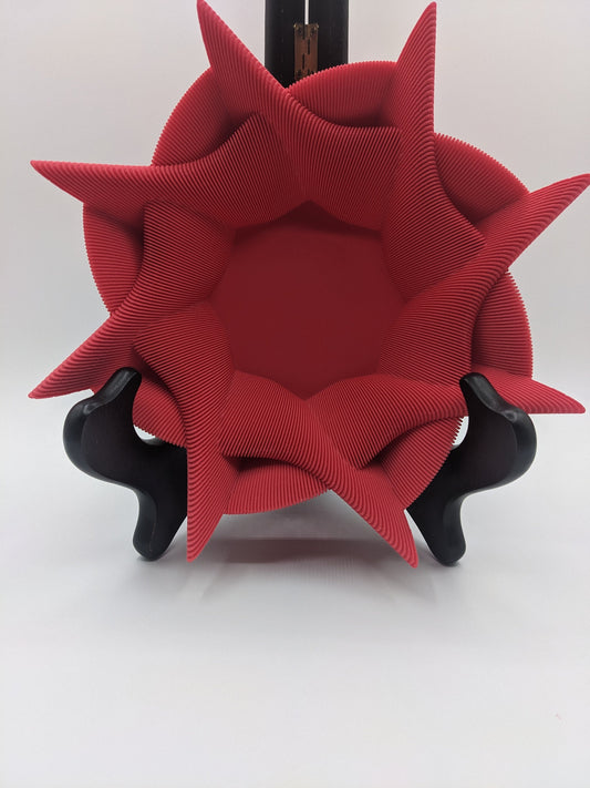 Elegant Echo Bowl