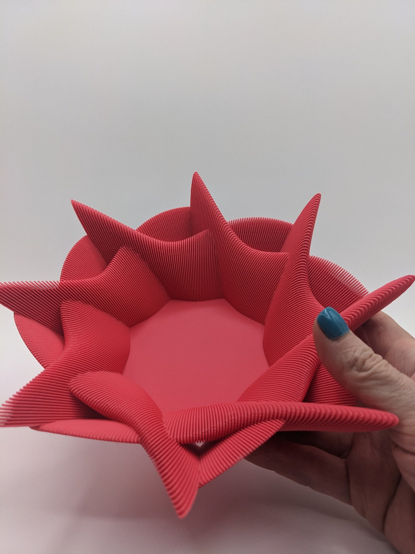 Elegant Echo Bowl