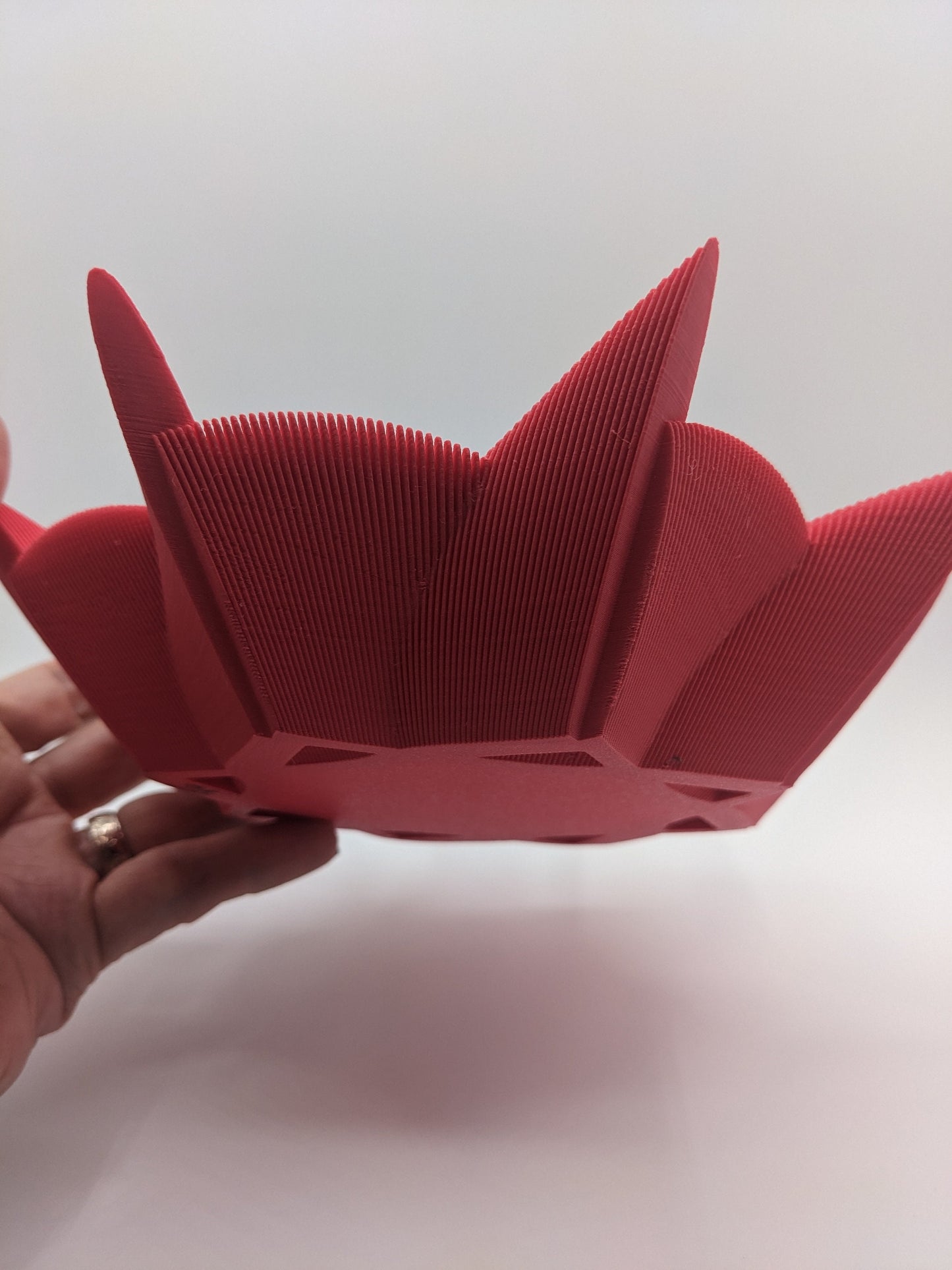 Elegant Echo Bowl