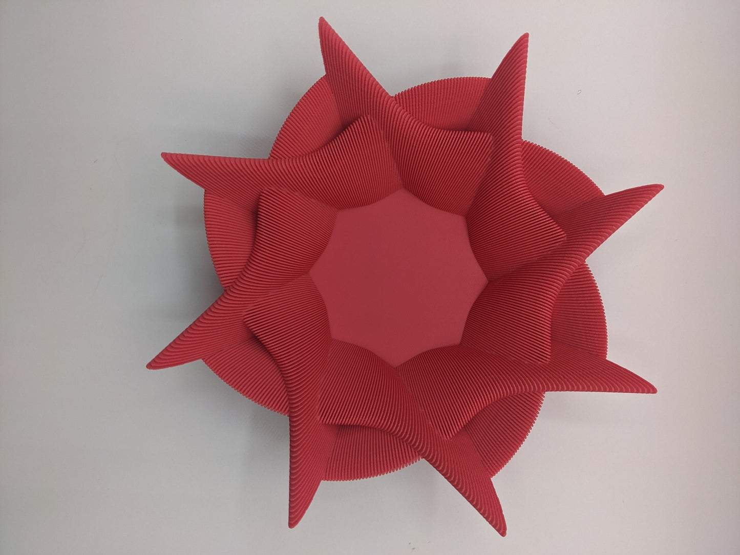 Elegant Echo Bowl