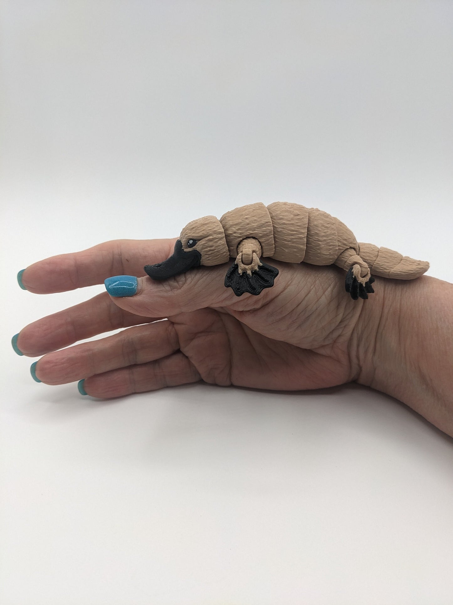 Articulated Flexi Platypus Fidget Toy