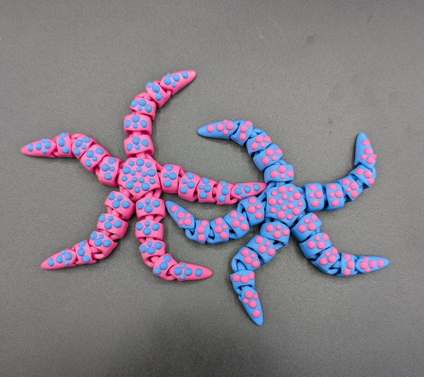 Beautiful Articulated Tiny Starfish