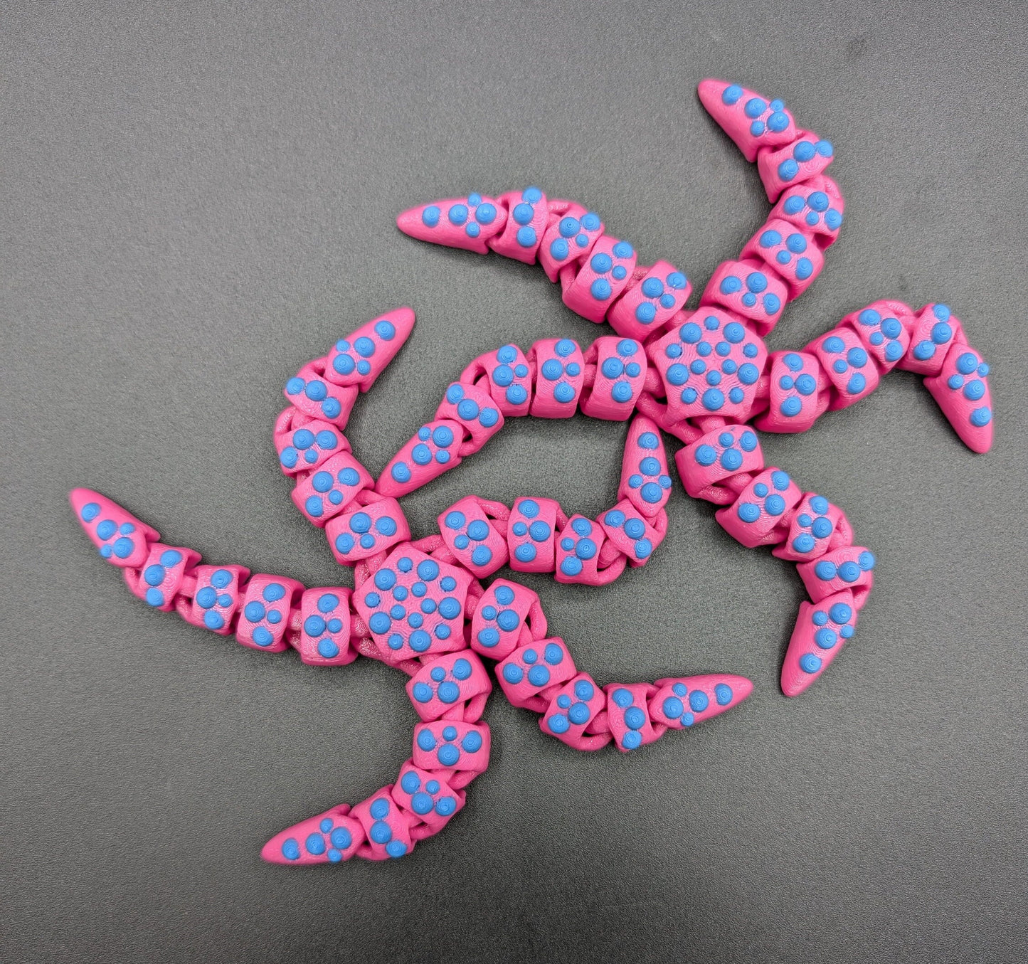 Beautiful Articulated Tiny Starfish