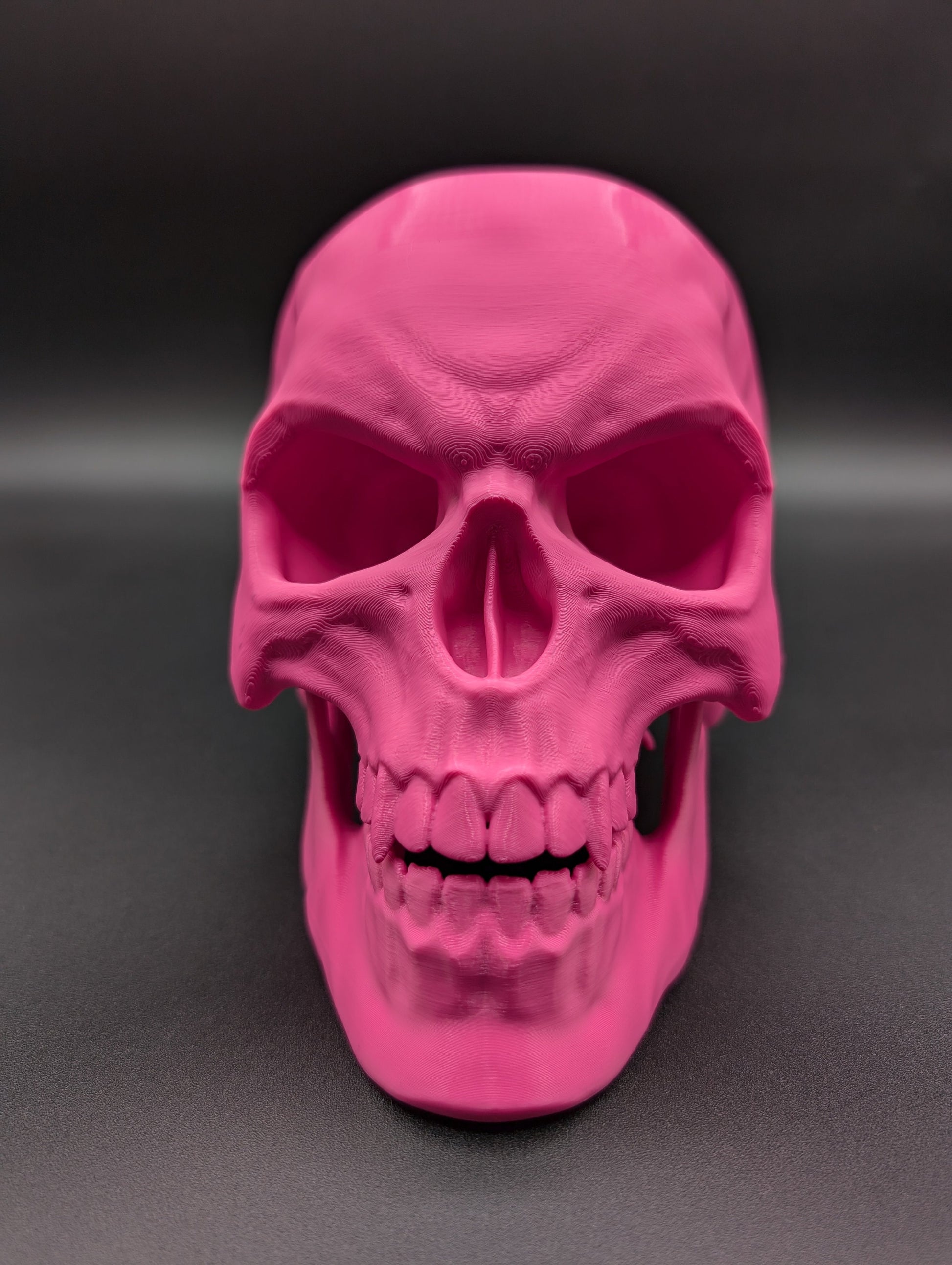 Introducing our Articulated Halloween Vampire Human Skull, the perfect addition to your Halloween decor or gothic collection. This intricately designed skull is a fun and interactive item, thanks to its fully articulated jaw. Multiple colors offered!