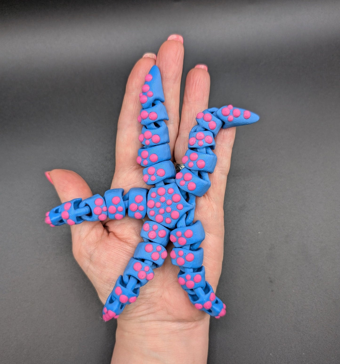 Beautiful Articulated Tiny Starfish