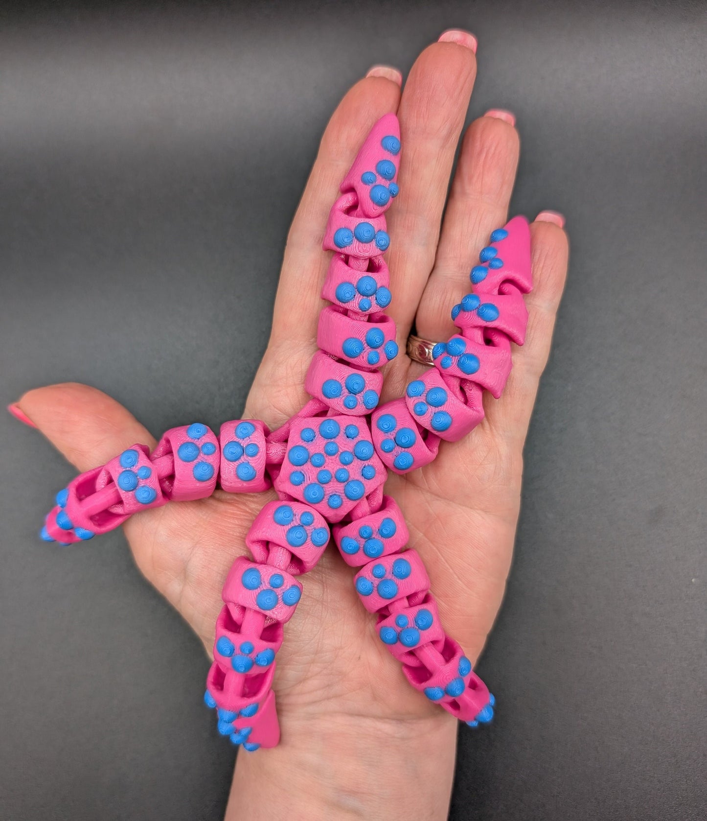 Beautiful Articulated Tiny Starfish