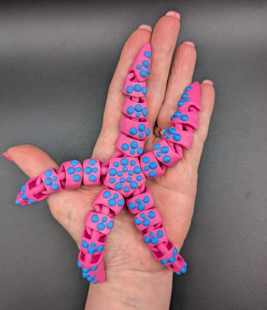 Beautiful Articulated Tiny Starfish