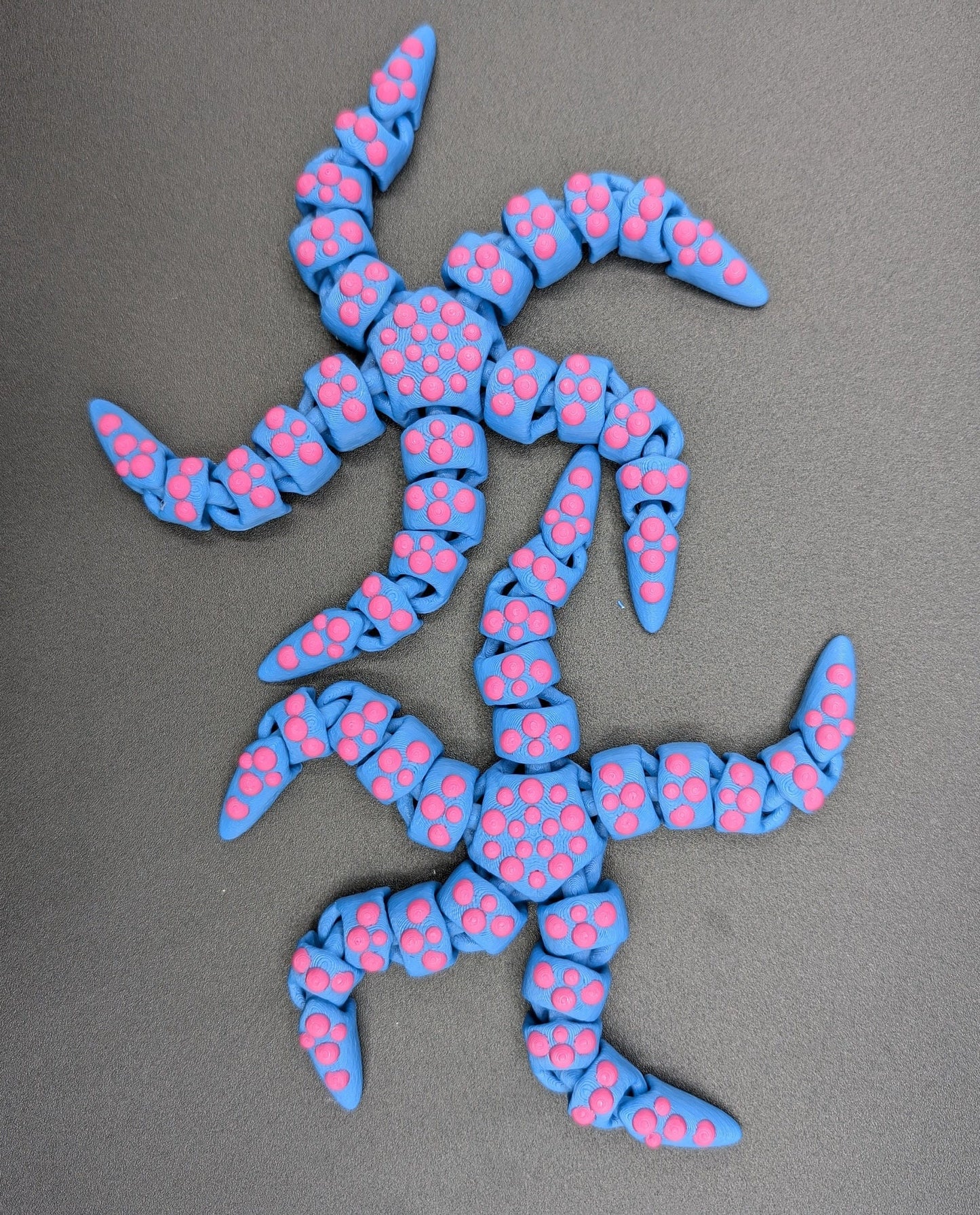 Beautiful Articulated Tiny Starfish