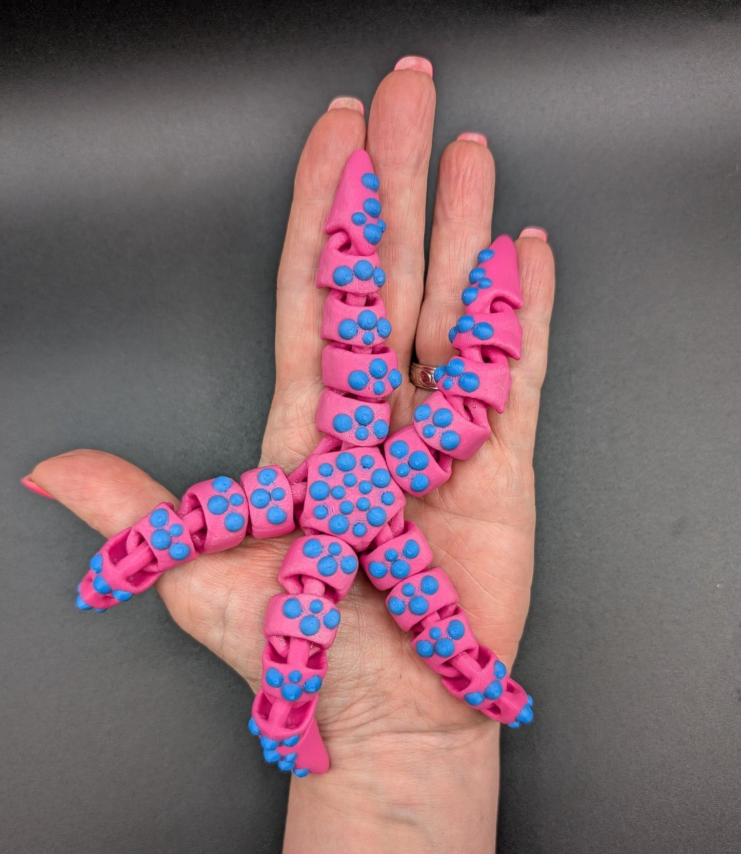 Beautiful Articulated Tiny Starfish