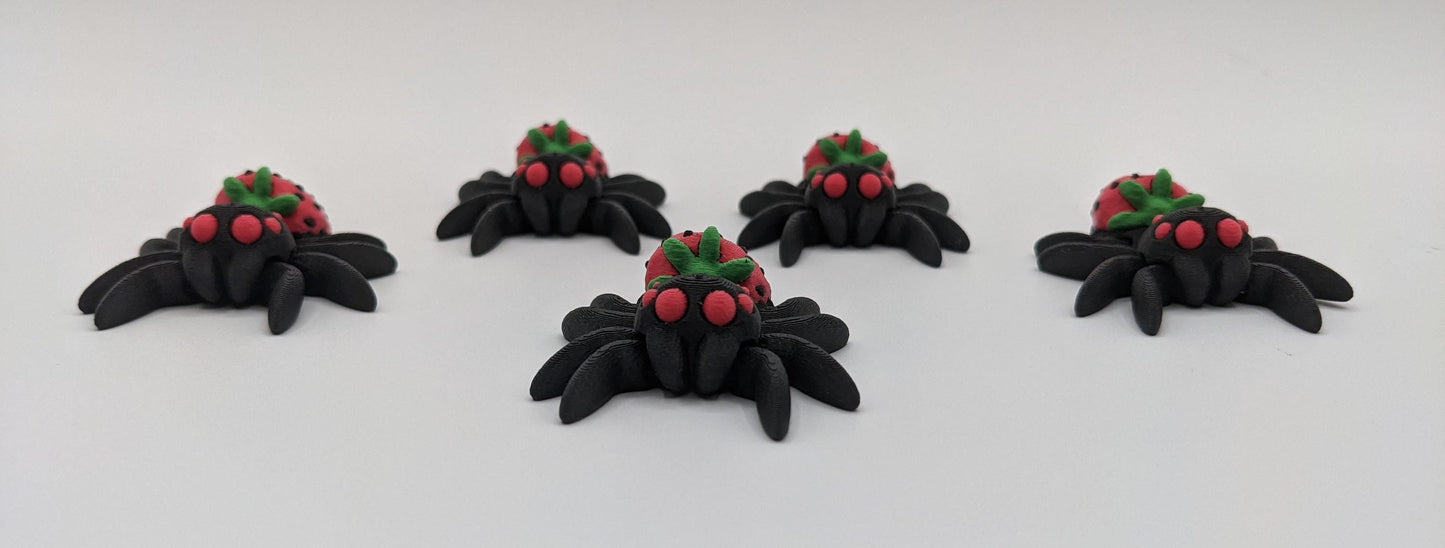 Adorable Strawberry Jumping Spider
