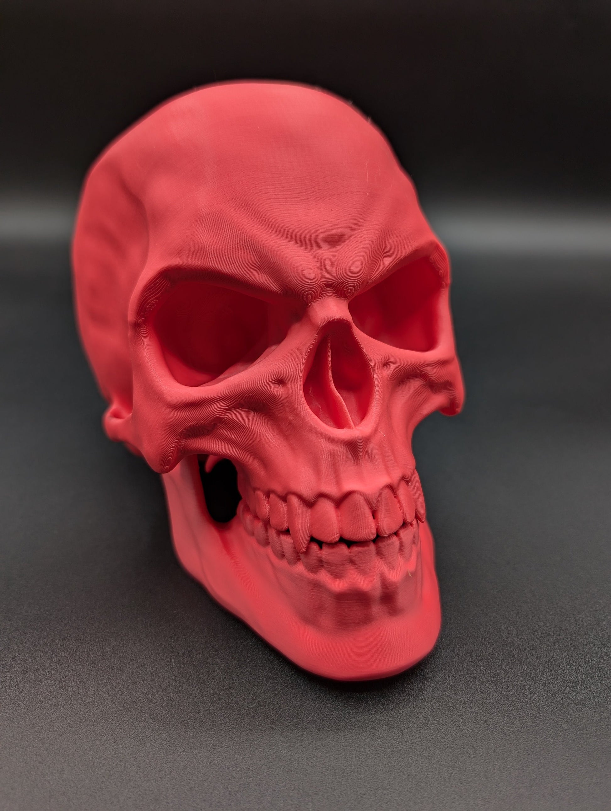 Introducing our Articulated Halloween Vampire Human Skull, the perfect addition to your Halloween decor or gothic collection. This intricately designed skull is a fun and interactive item, thanks to its fully articulated jaw. Multiple colors offered!