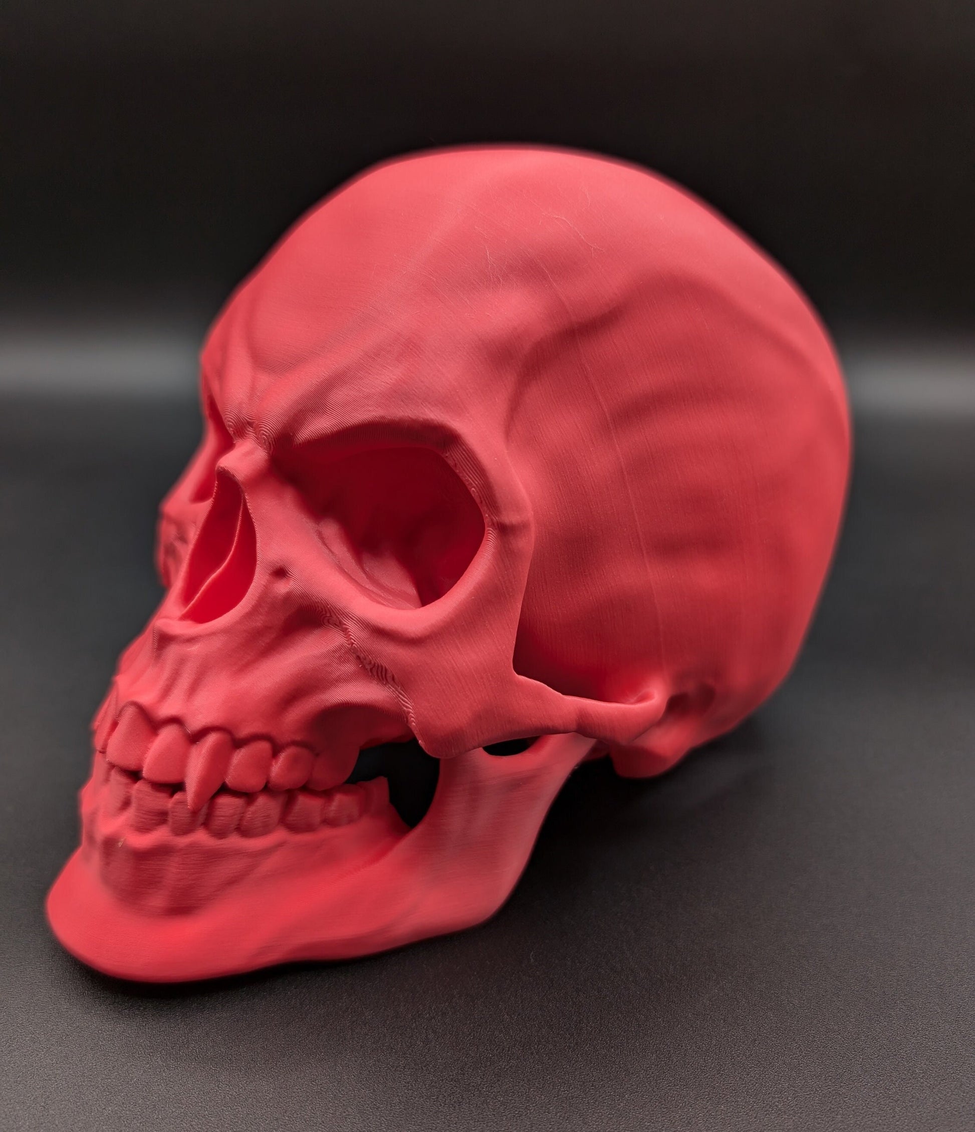 Introducing our Articulated Halloween Vampire Human Skull, the perfect addition to your Halloween decor or gothic collection. This intricately designed skull is a fun and interactive item, thanks to its fully articulated jaw. Multiple colors offered!