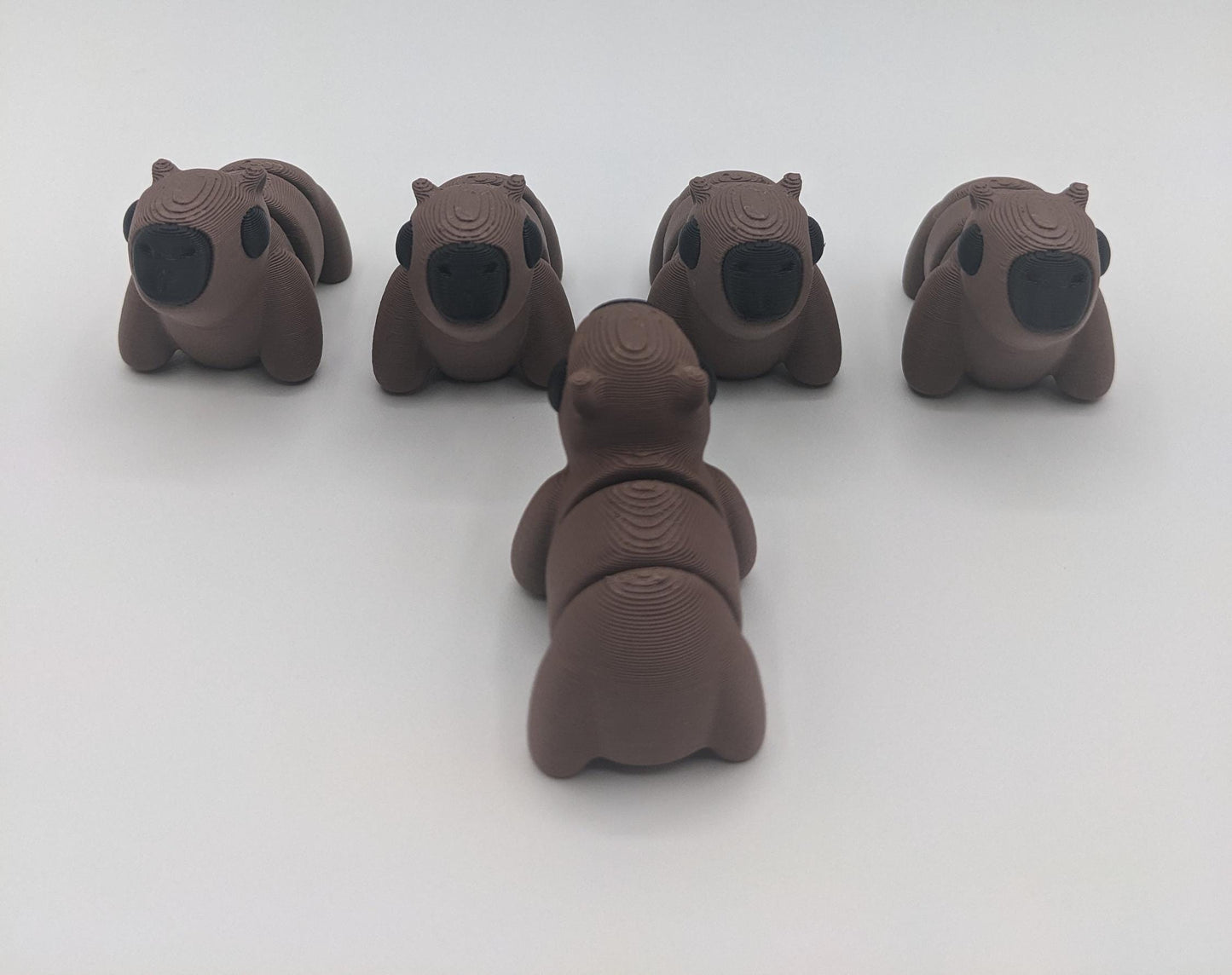 Adorable Baby Capybara Fidget