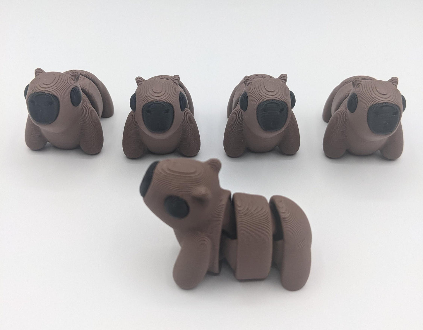 Adorable Baby Capybara Fidget