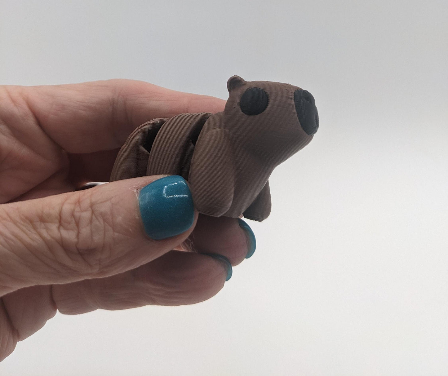 Adorable Baby Capybara Fidget