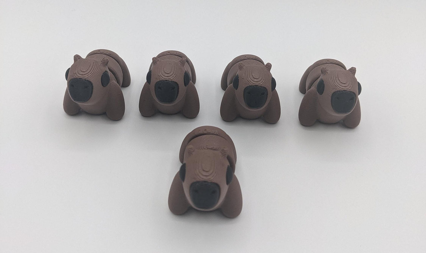 Adorable Baby Capybara Fidget