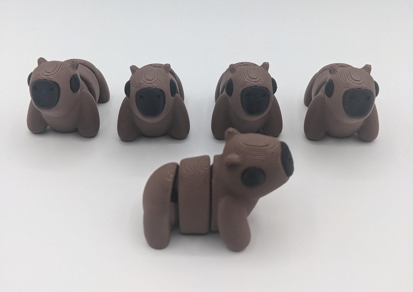 Adorable Baby Capybara Fidget