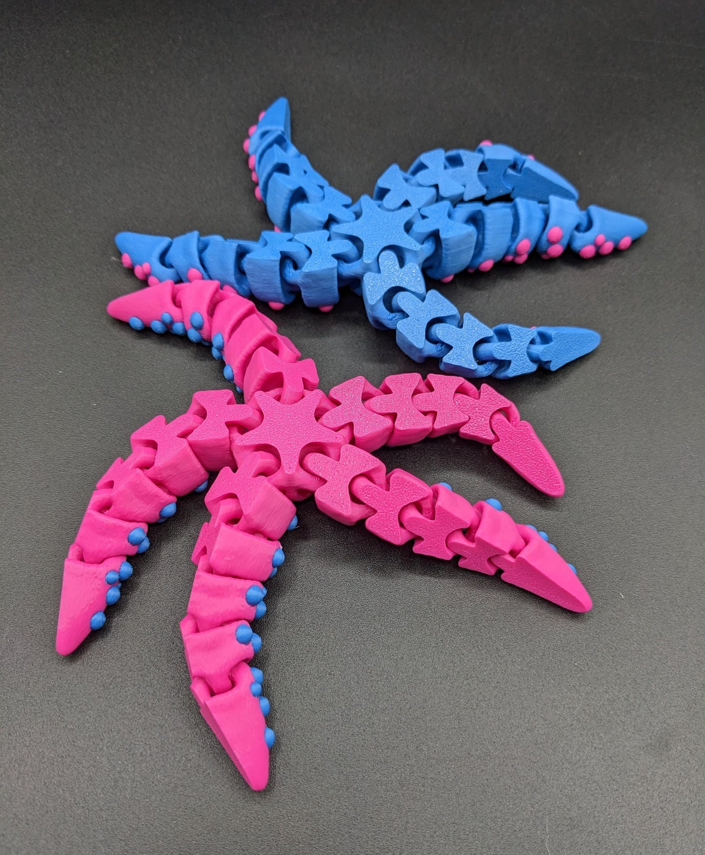 Beautiful Articulated Tiny Starfish