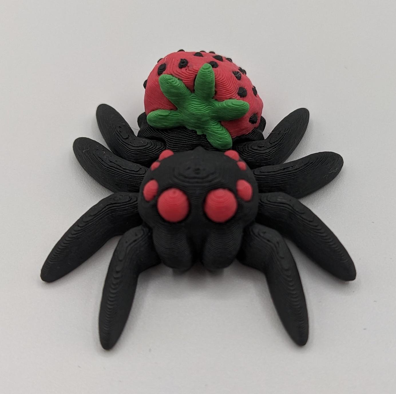 Adorable Strawberry Jumping Spider