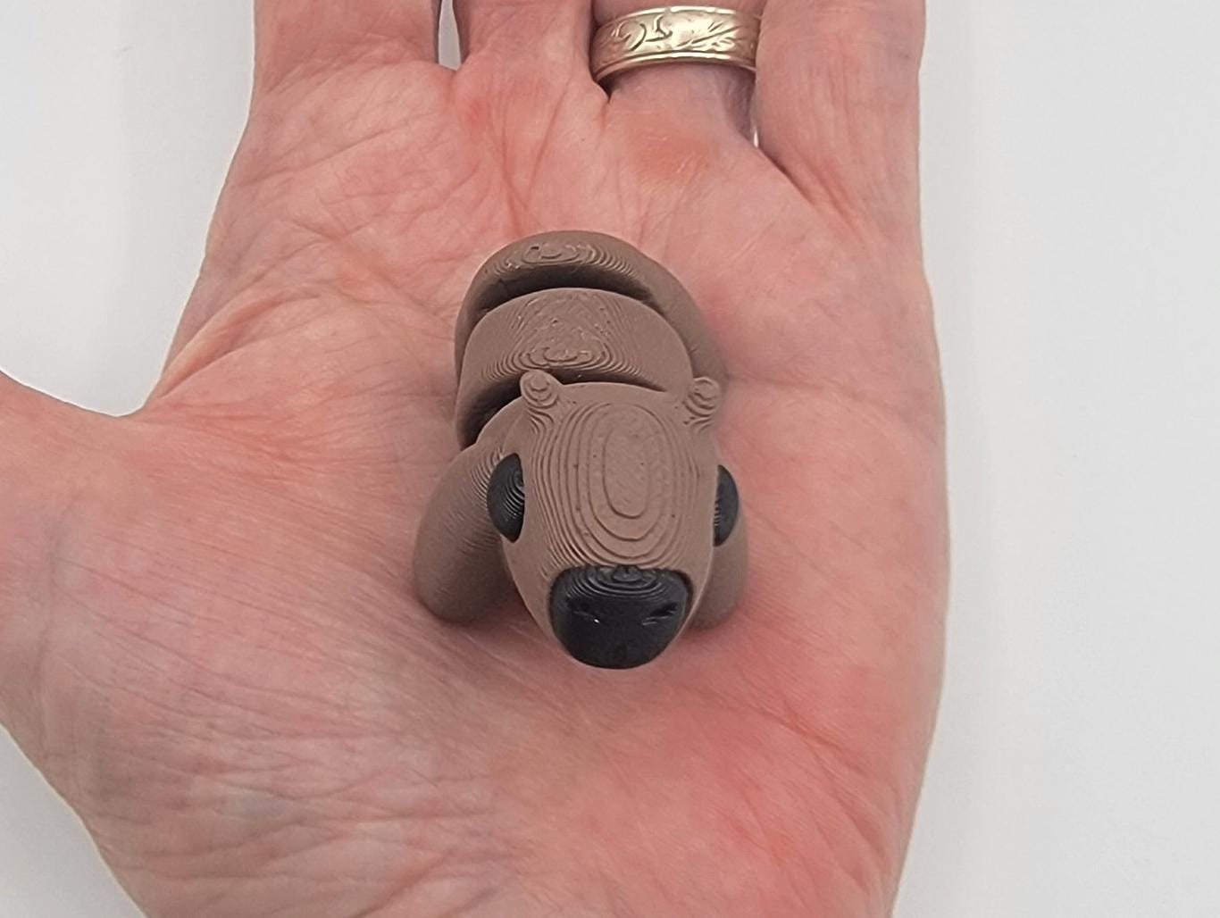 Adorable Baby Capybara Fidget