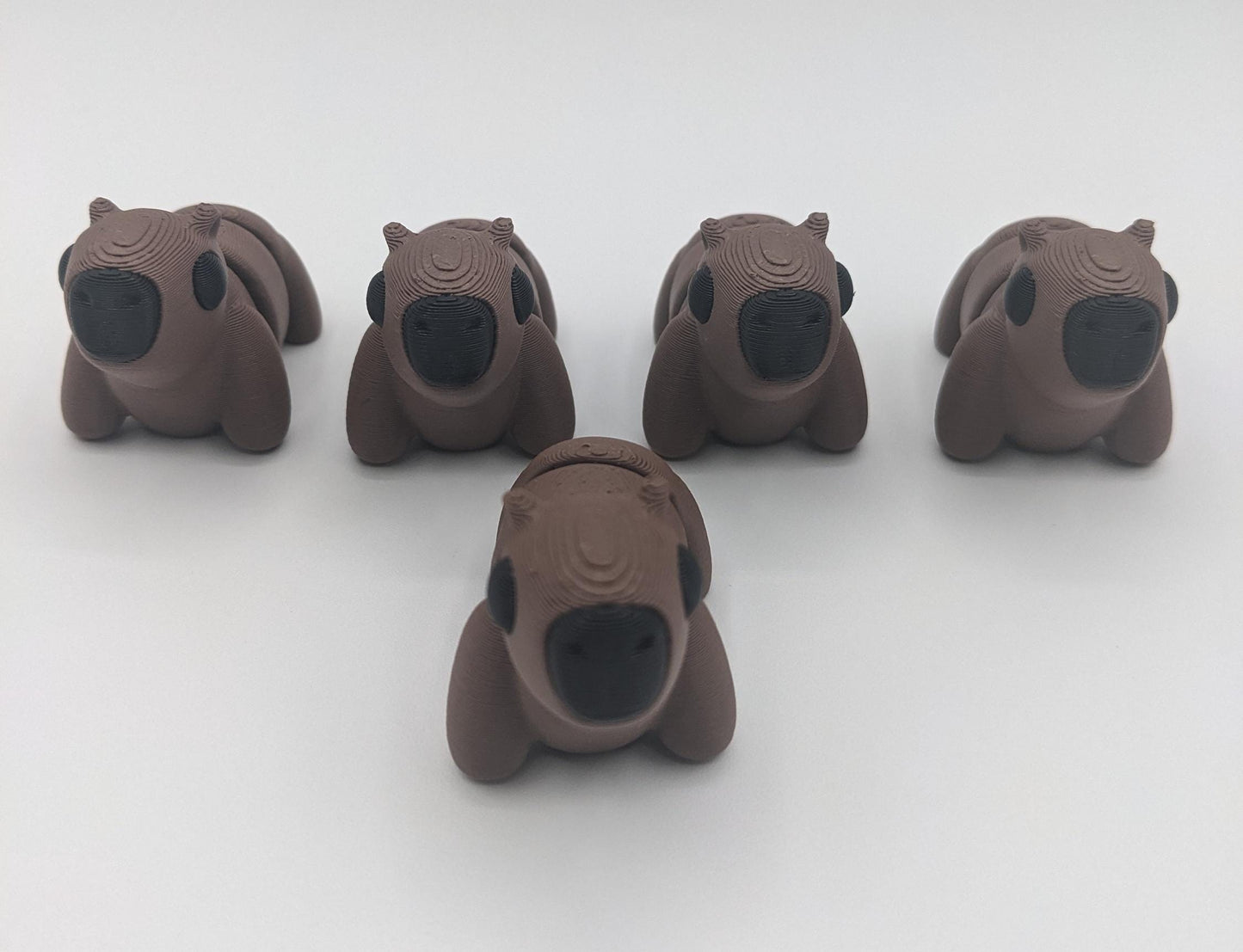 Adorable Baby Capybara Fidget