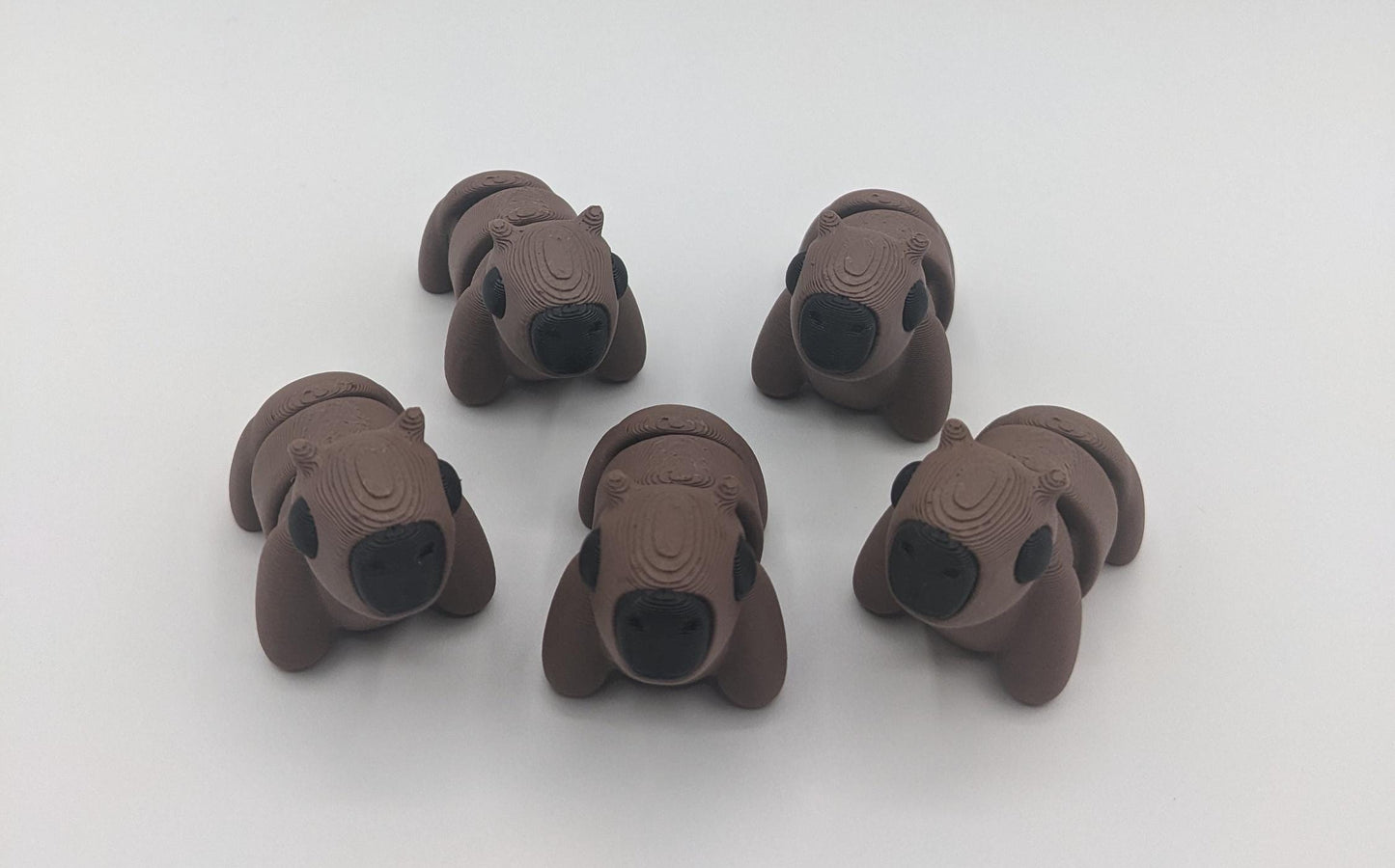 Adorable Baby Capybara Fidget