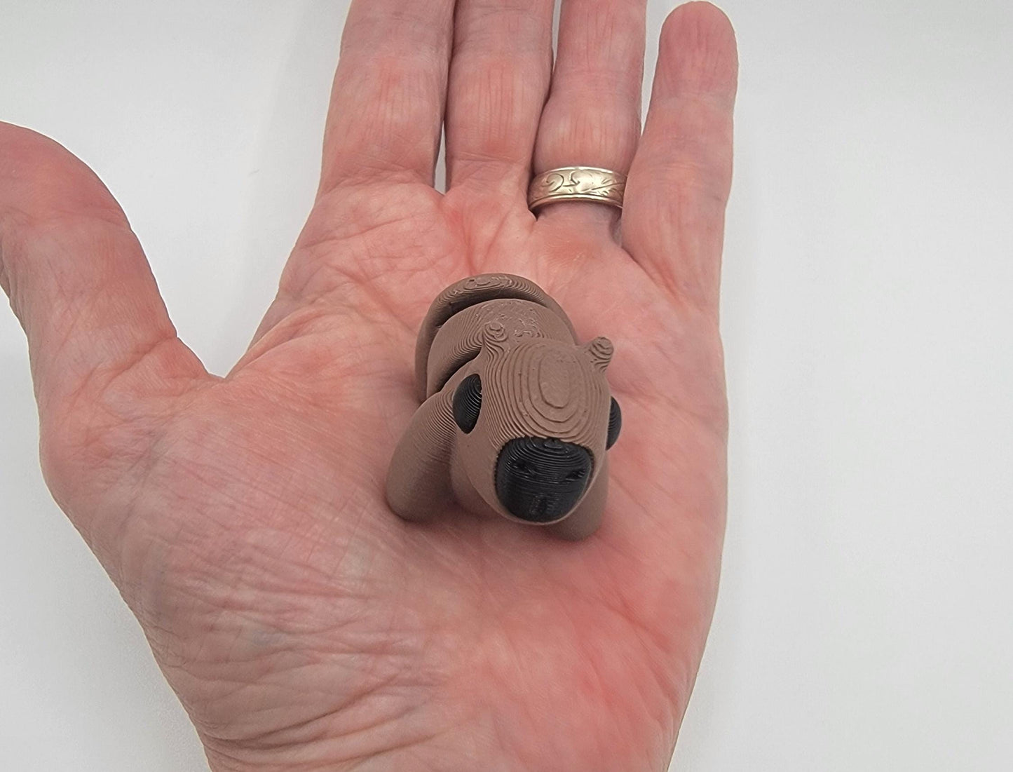 Adorable Baby Capybara Fidget