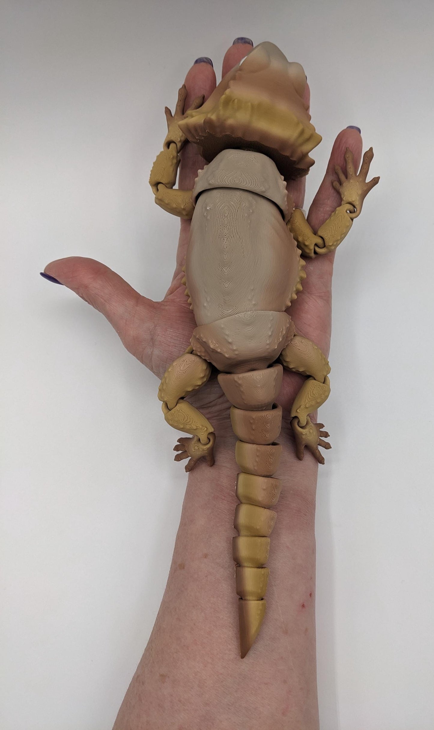 Add a little reptilian charm to your fidget toy collection with the Articulated Bearded Dragon Fidget Toy! Whether you’re looking for a fun stress-relief tool, a unique gift, or a playful collectible, this fully poseable dragon is guaranteed to bring smiles. Lightweight, durable, and customizable, it’s the perfect way to combine creativity and fun.