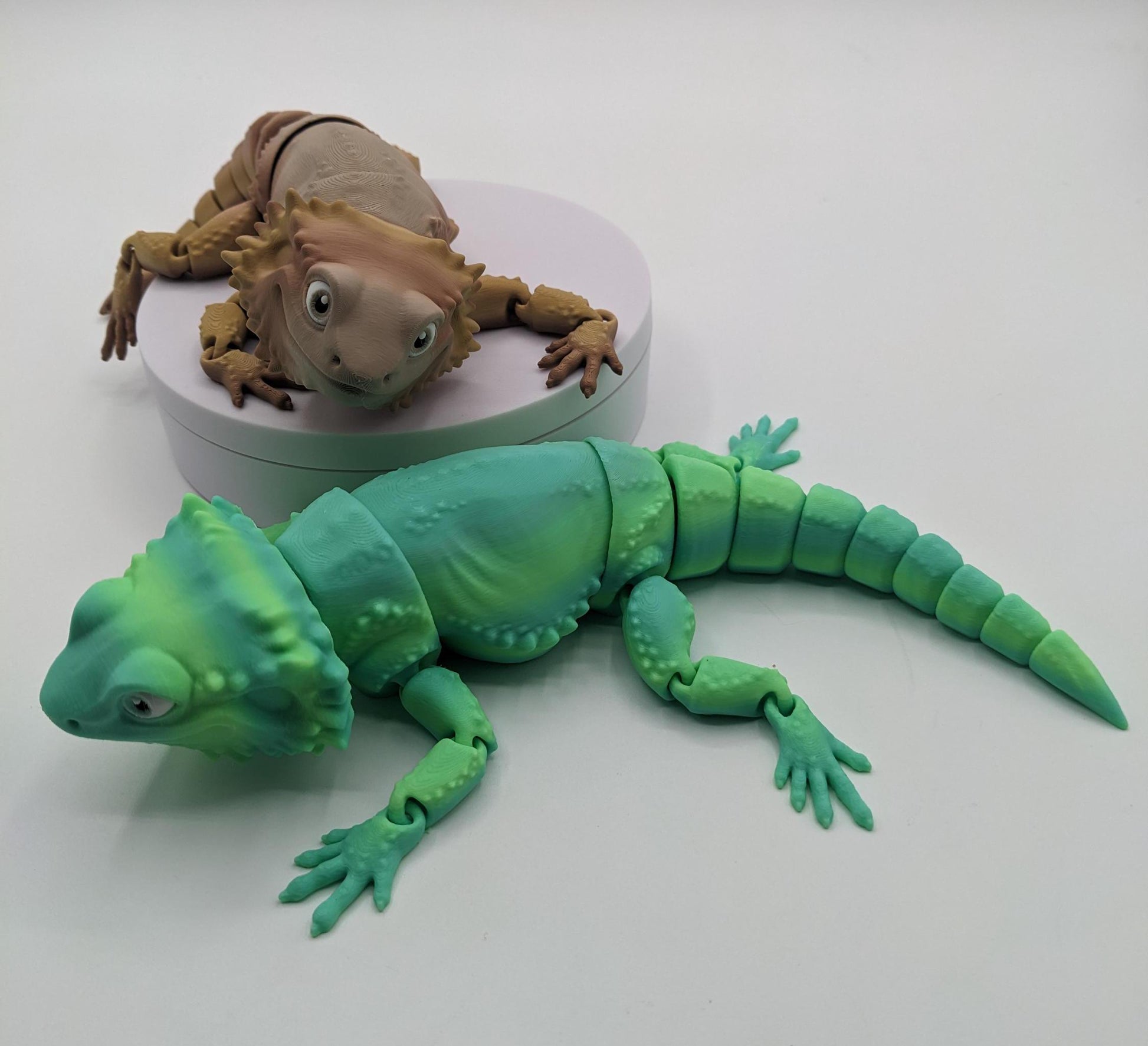 Add a little reptilian charm to your fidget toy collection with the Articulated Bearded Dragon Fidget Toy! Whether you’re looking for a fun stress-relief tool, a unique gift, or a playful collectible, this fully poseable dragon is guaranteed to bring smiles. Lightweight, durable, and customizable, it’s the perfect way to combine creativity and fun.