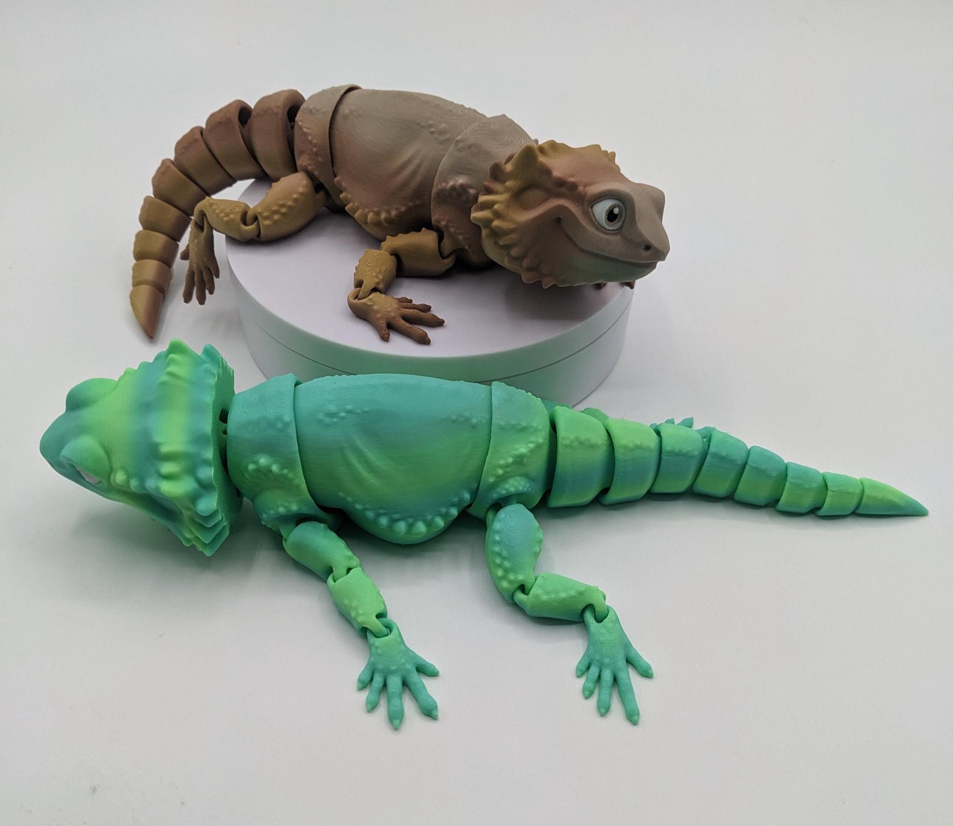 Add a little reptilian charm to your fidget toy collection with the Articulated Bearded Dragon Fidget Toy! Whether you’re looking for a fun stress-relief tool, a unique gift, or a playful collectible, this fully poseable dragon is guaranteed to bring smiles. Lightweight, durable, and customizable, it’s the perfect way to combine creativity and fun.