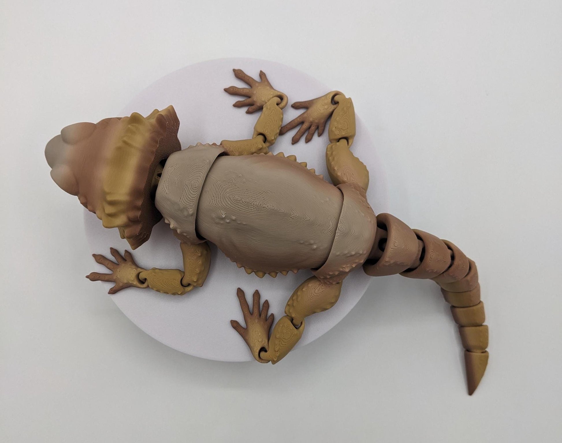 Add a little reptilian charm to your fidget toy collection with the Articulated Bearded Dragon Fidget Toy! Whether you’re looking for a fun stress-relief tool, a unique gift, or a playful collectible, this fully poseable dragon is guaranteed to bring smiles. Lightweight, durable, and customizable, it’s the perfect way to combine creativity and fun.