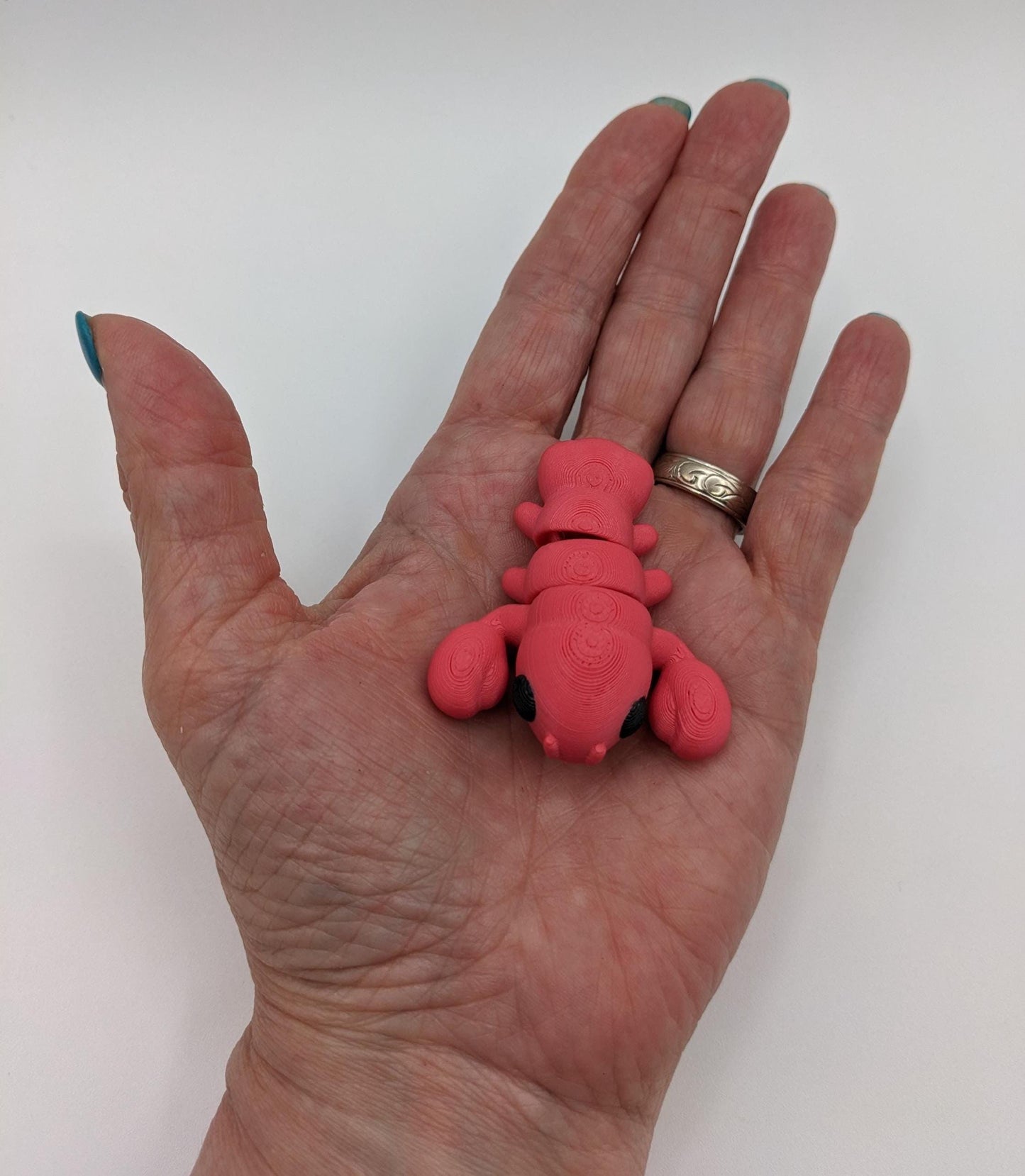 Baby Lobster Fidget Toy