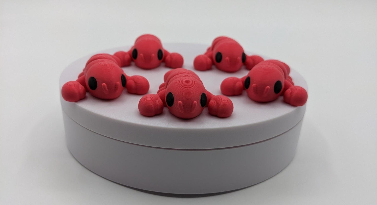 Baby Lobster Fidget Toy