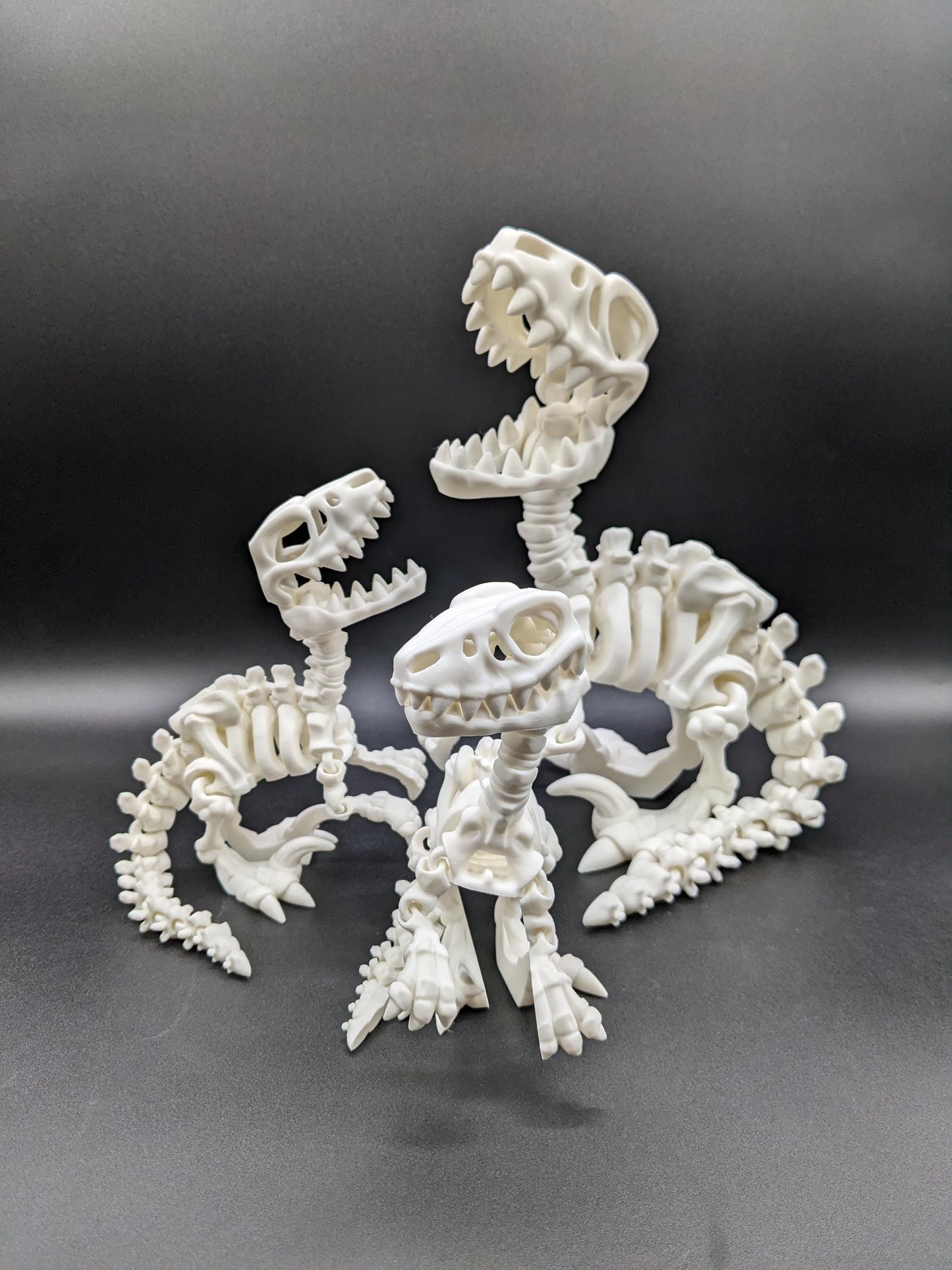 Awesome Articulated Raptor Skeleton Toy