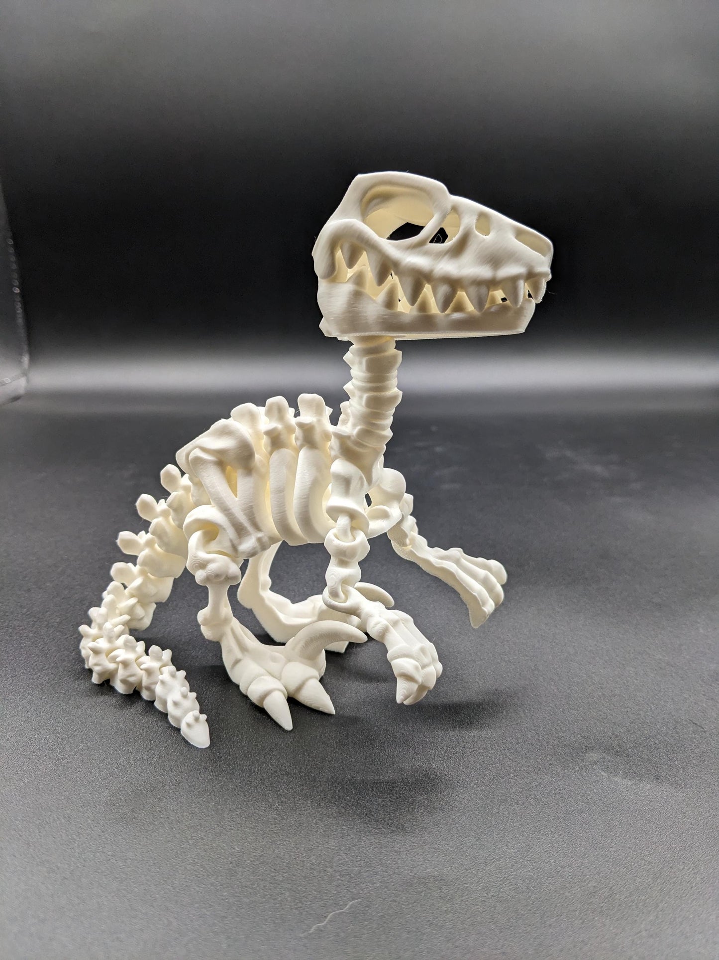 Awesome Articulated Raptor Skeleton Toy