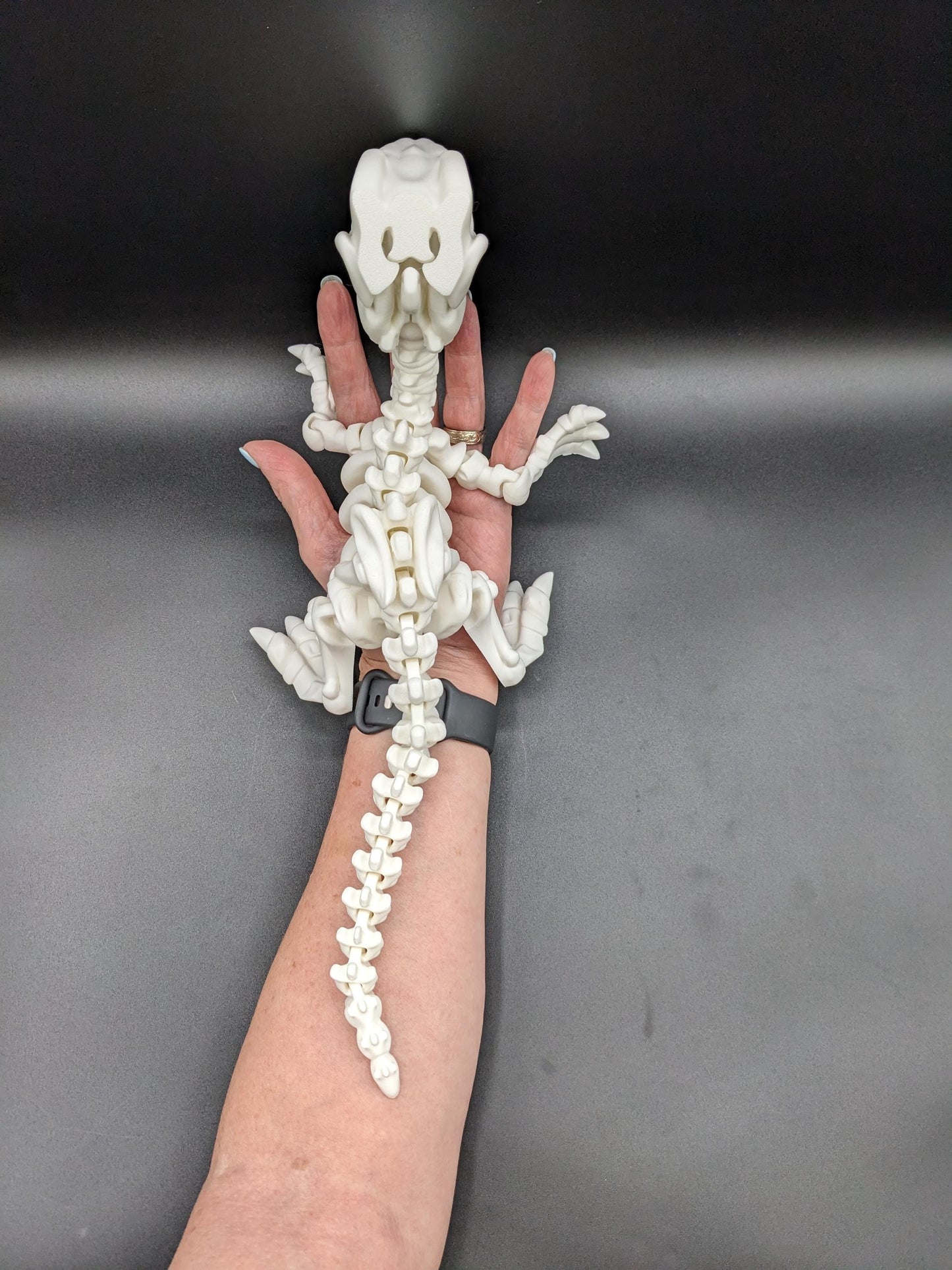 Awesome Articulated Raptor Skeleton Toy