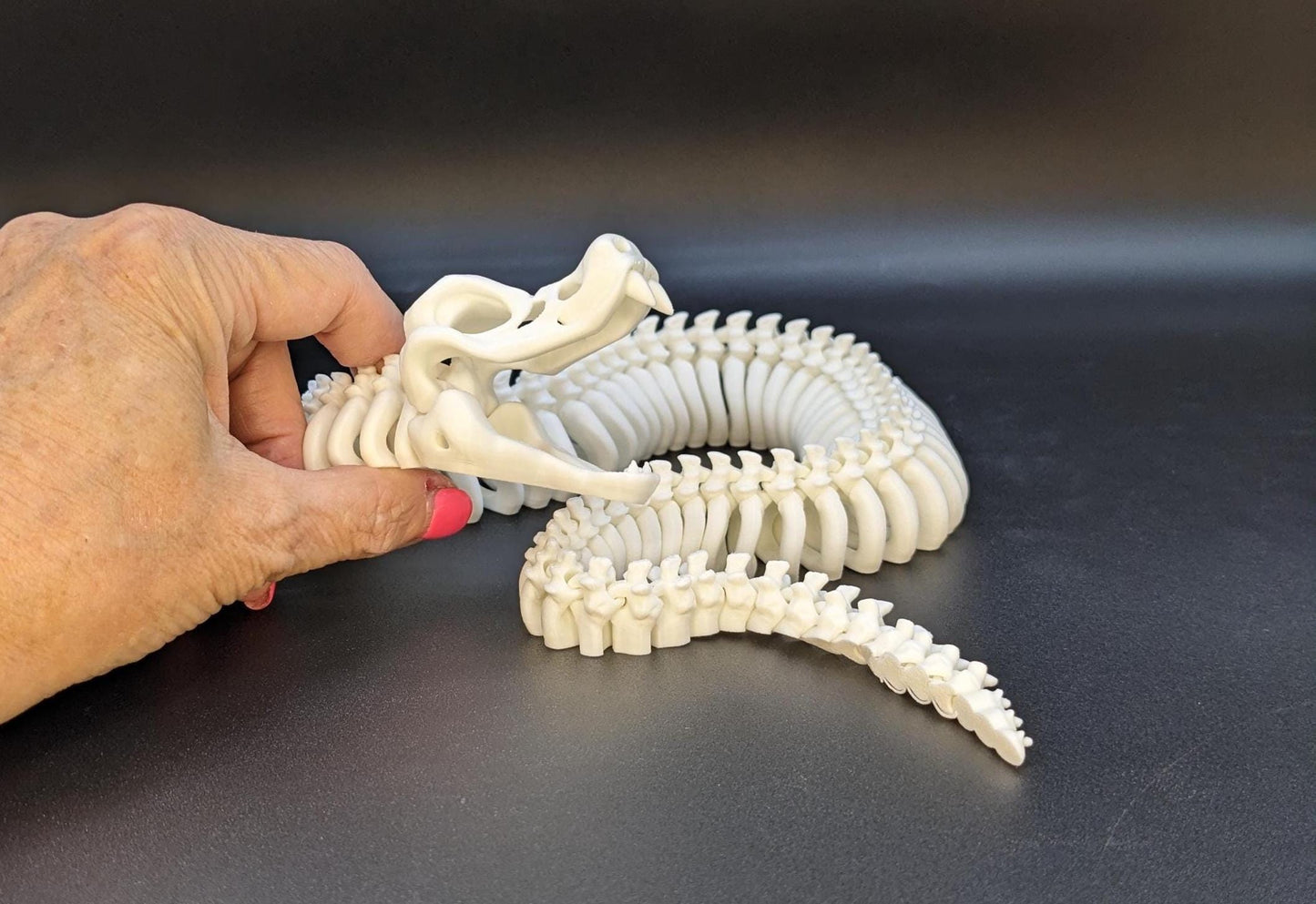 Articulated Skeleton Snake Toy Fidget