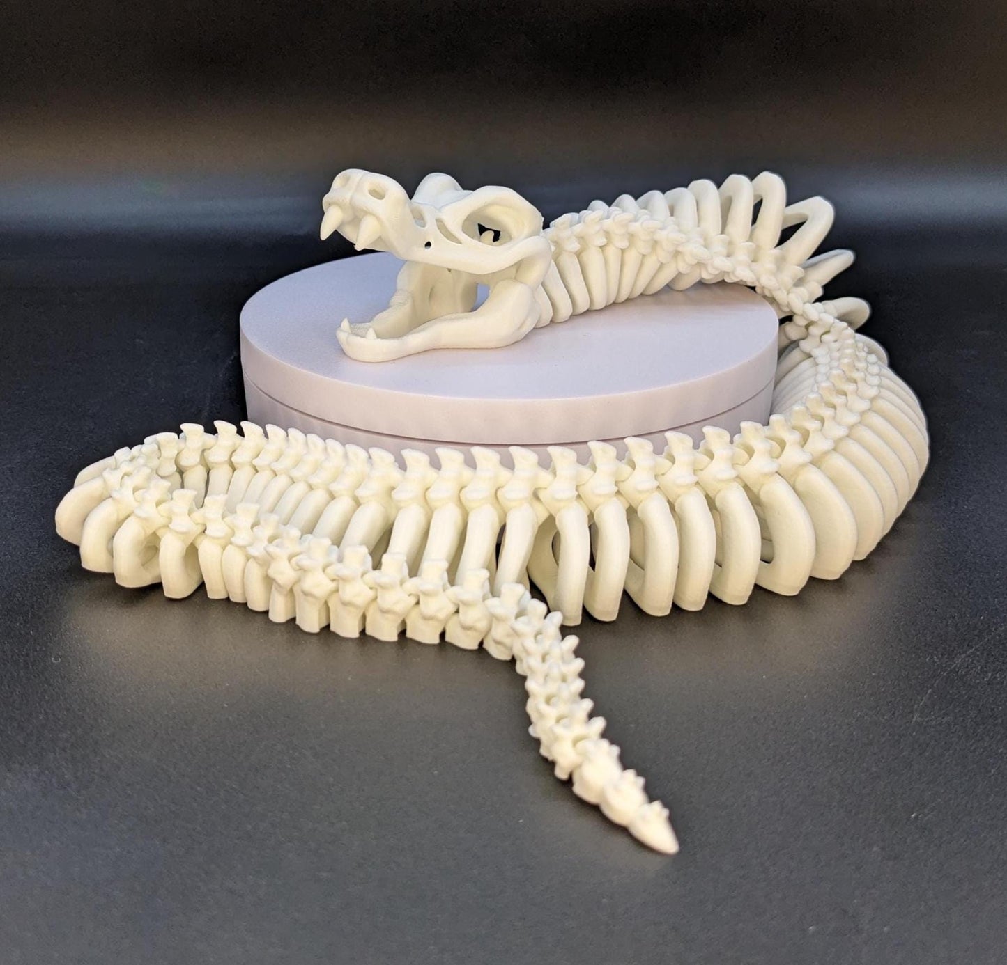 Articulated Skeleton Snake Toy Fidget