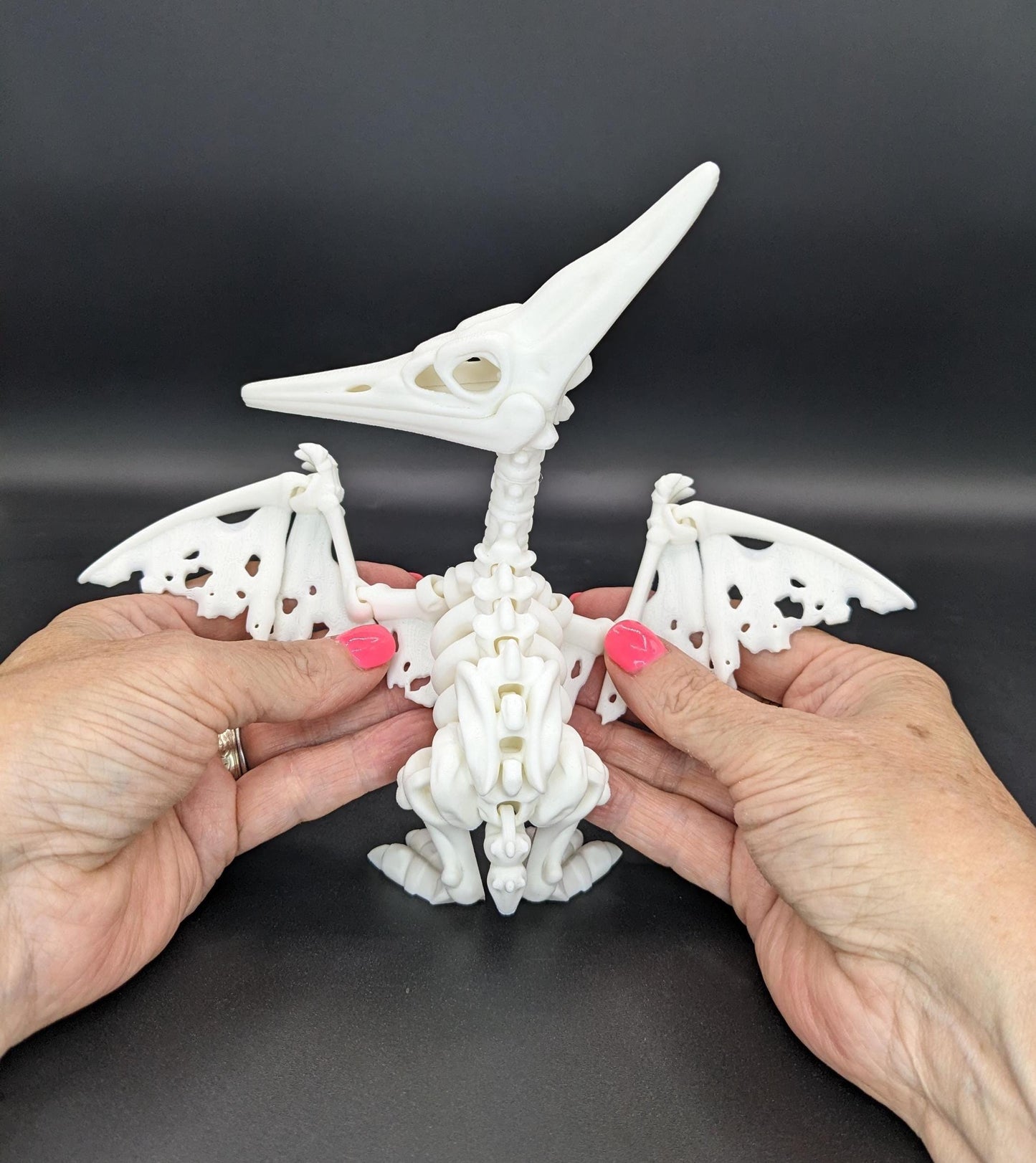 Articulated Pteranodon Skeleton